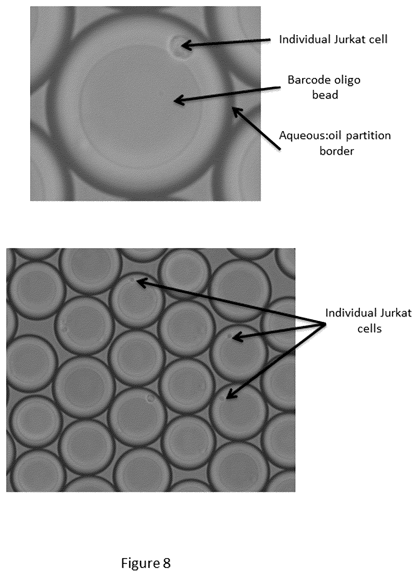 Patent US12312640 Figure 8 – Analysis of nucleic acid sequences