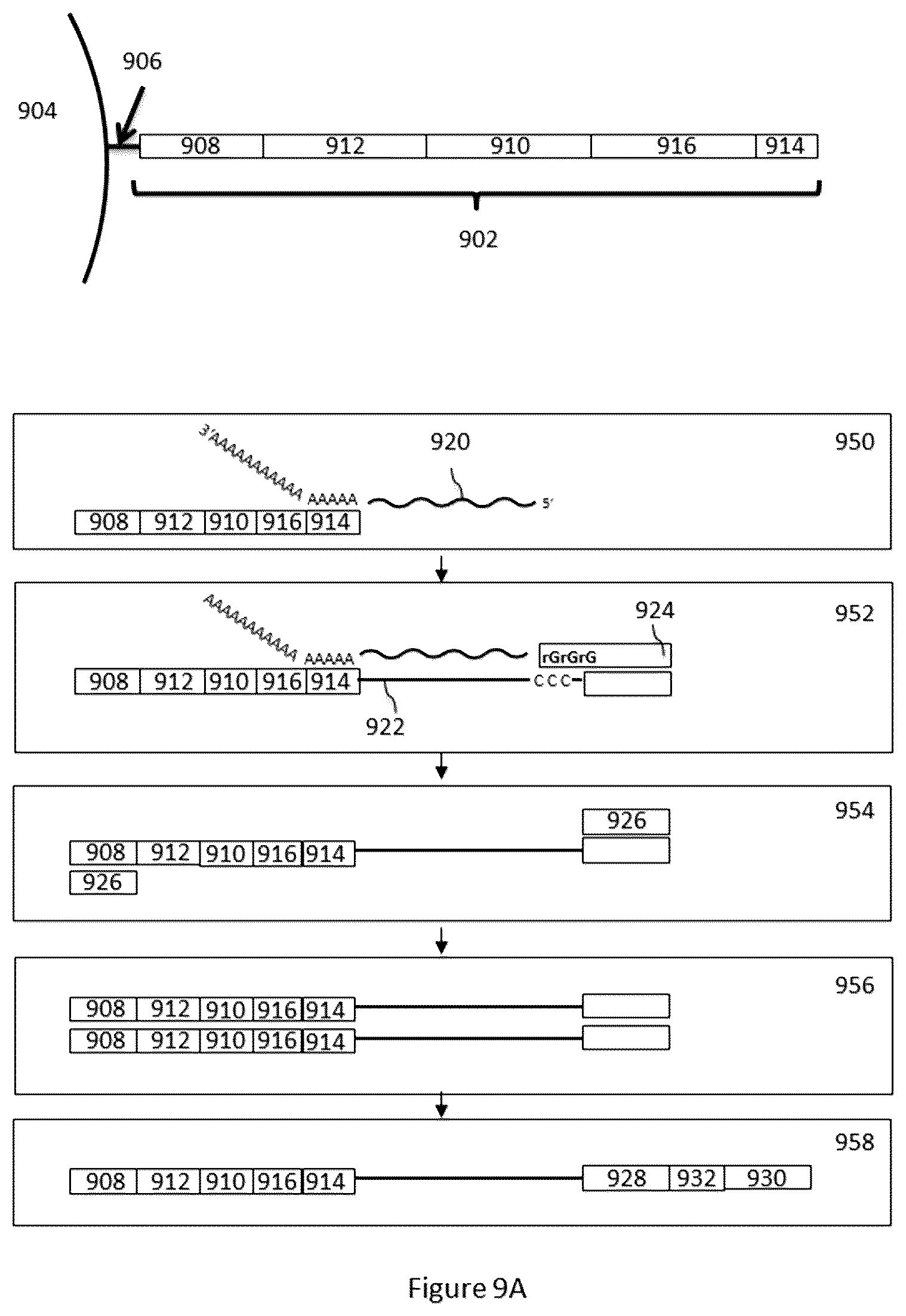 Patent US12312640 Figure 9 – Analysis of nucleic acid sequences