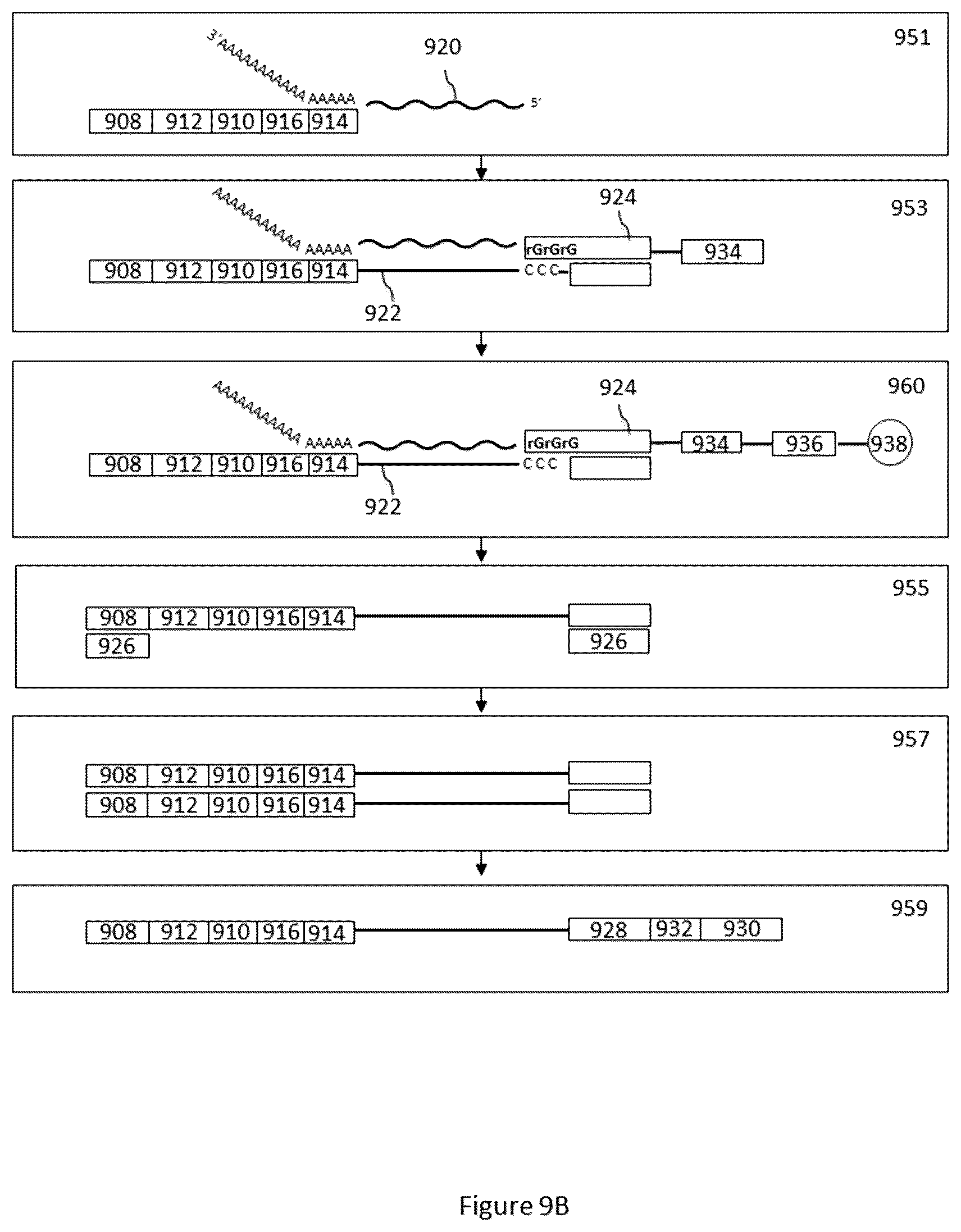 Patent US12312640 Figure 10 – Analysis of nucleic acid sequences