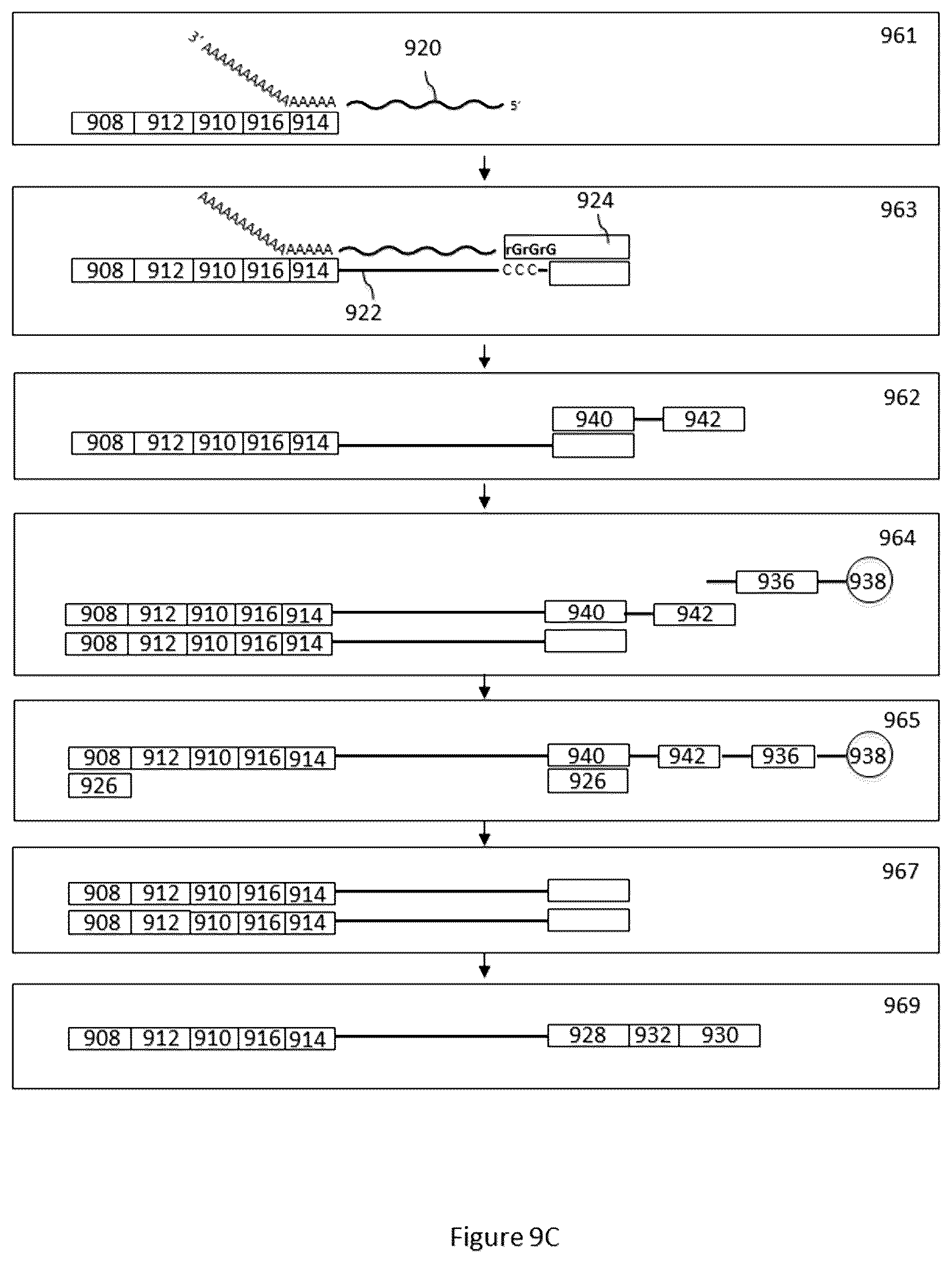 Patent US12312640 Figure 11 – Analysis of nucleic acid sequences