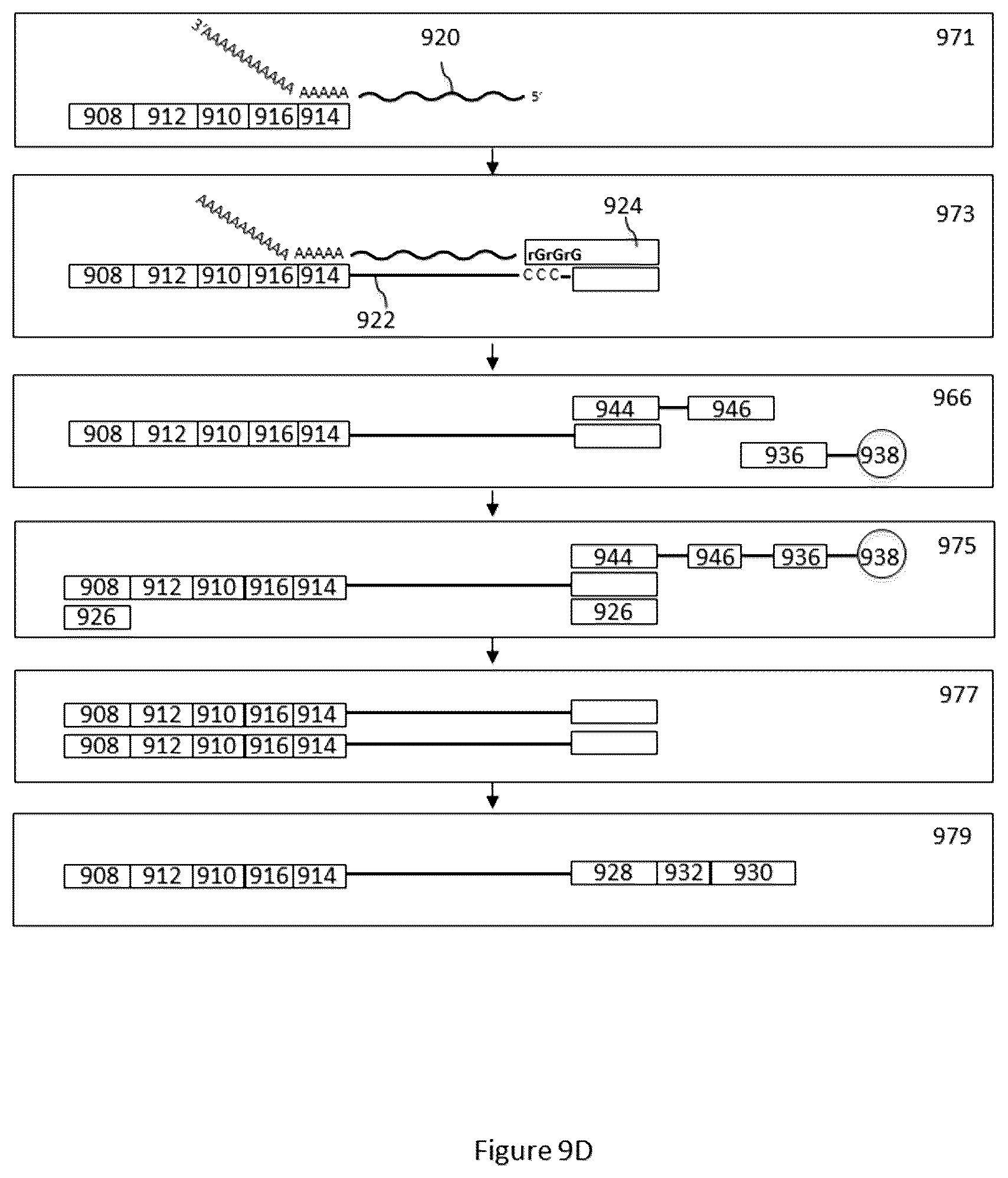 Patent US12312640 Figure 12 – Analysis of nucleic acid sequences