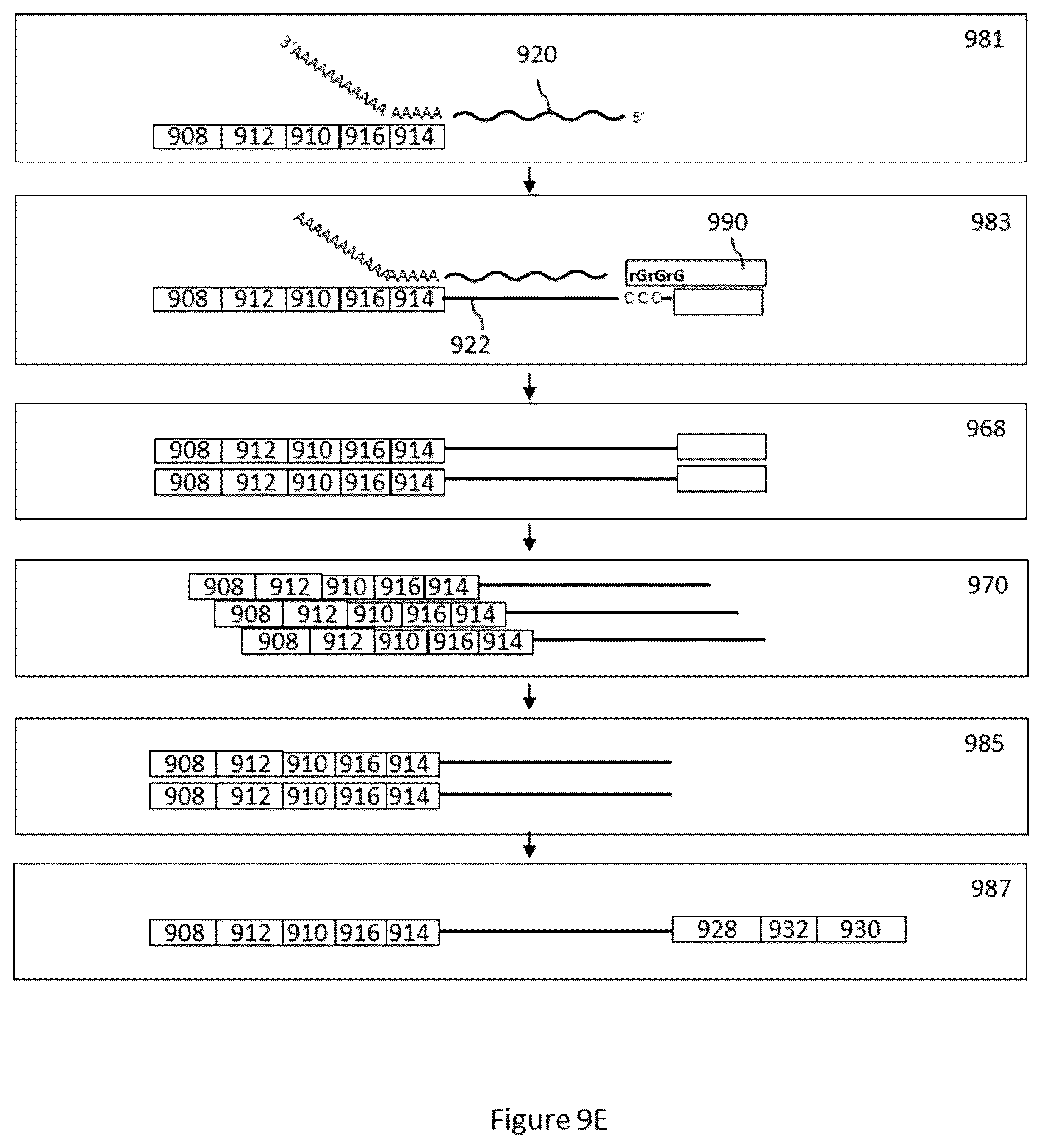 Patent US12312640 Figure 13 – Analysis of nucleic acid sequences