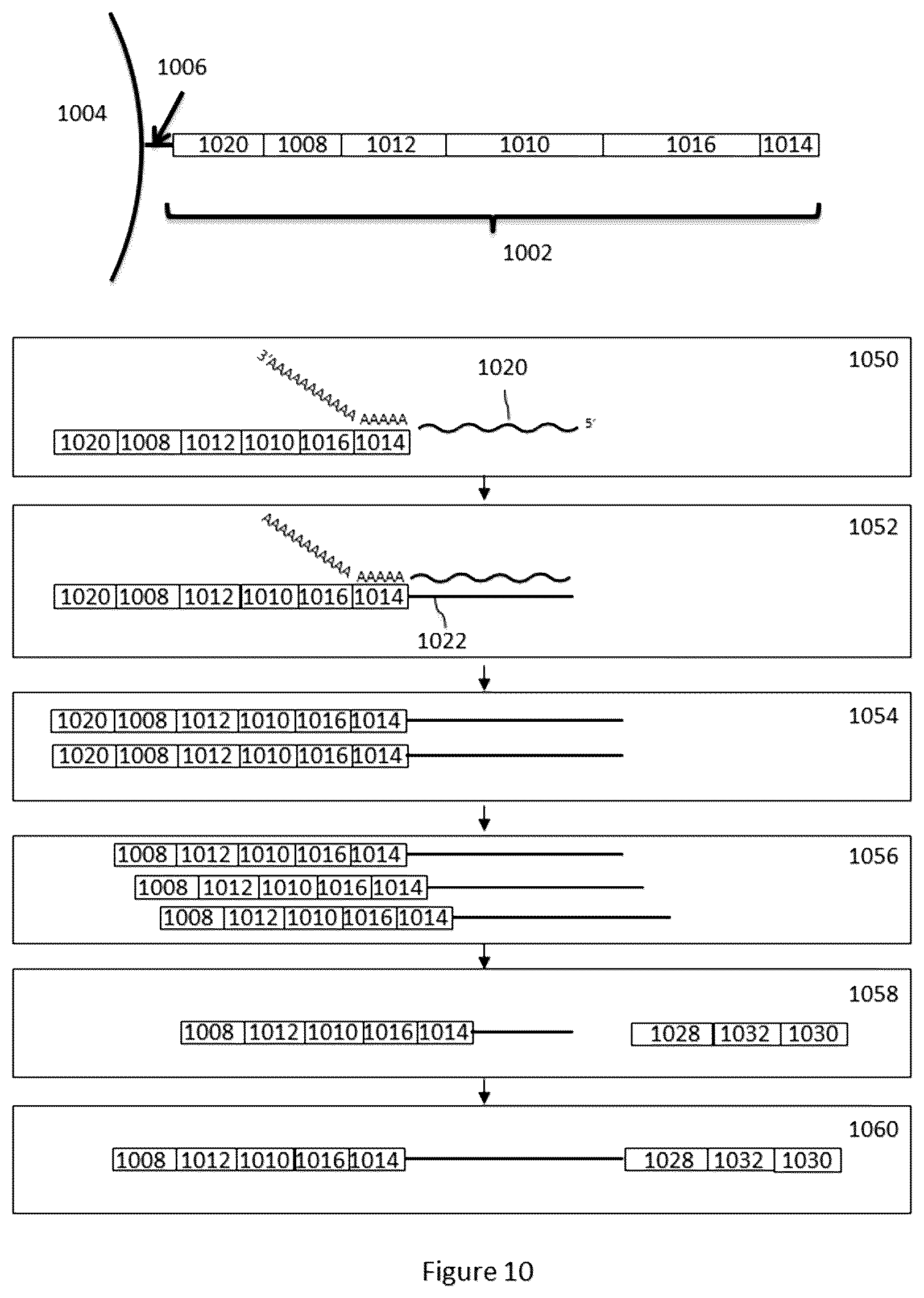 Patent US12312640 Figure 14 – Analysis of nucleic acid sequences