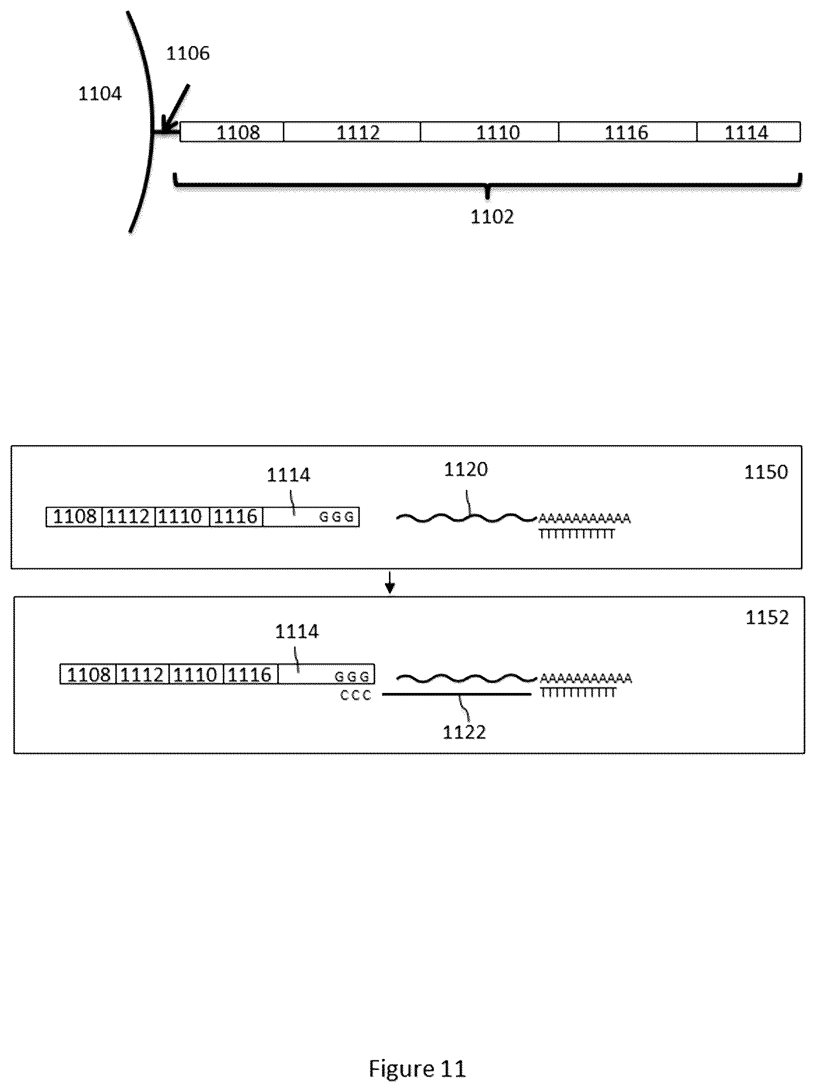 Patent US12312640 Figure 15 – Analysis of nucleic acid sequences