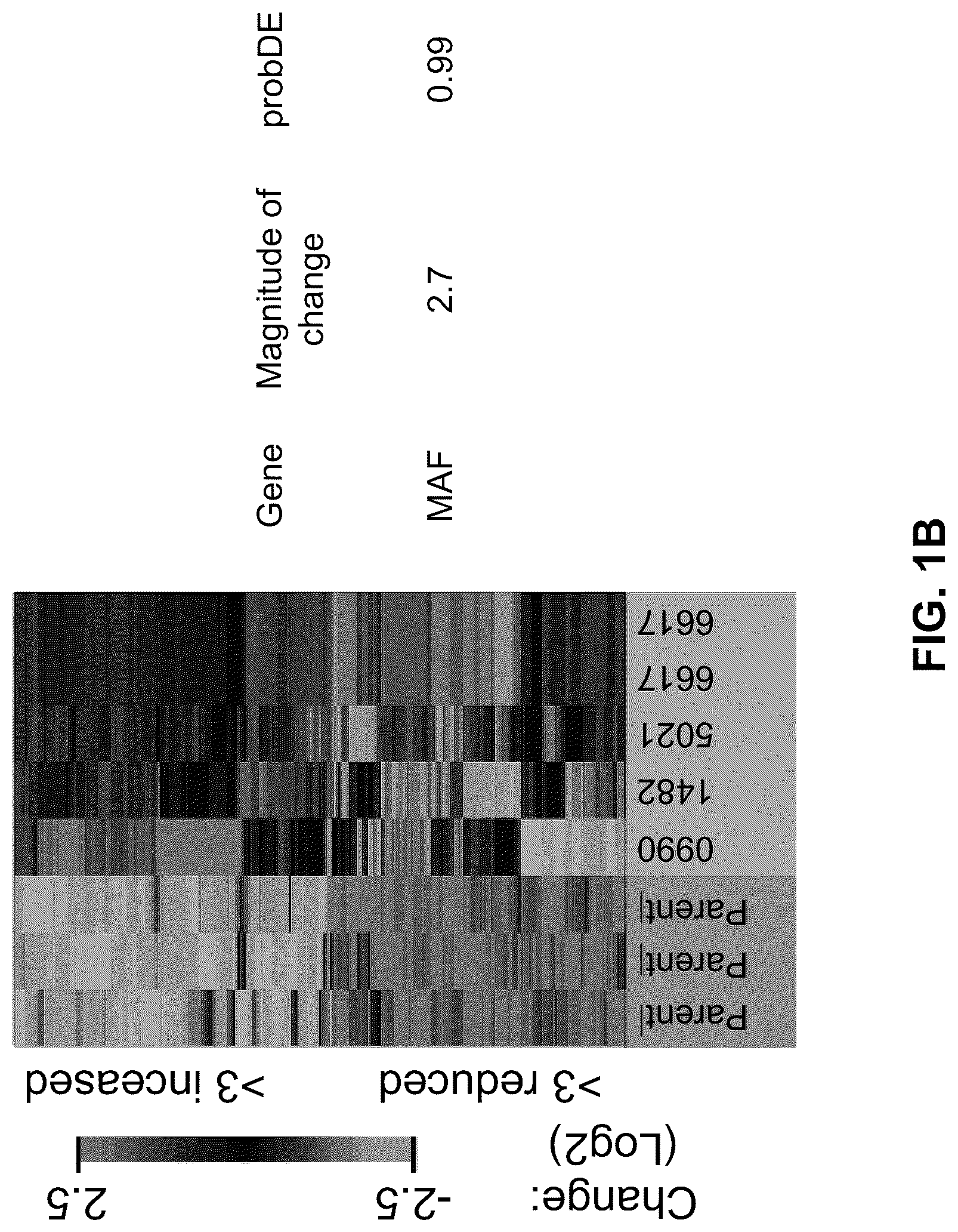 Patent US12312642 Figure 2 – Method for the diagnosis, prognosis and treatment of breast cancer metastasis