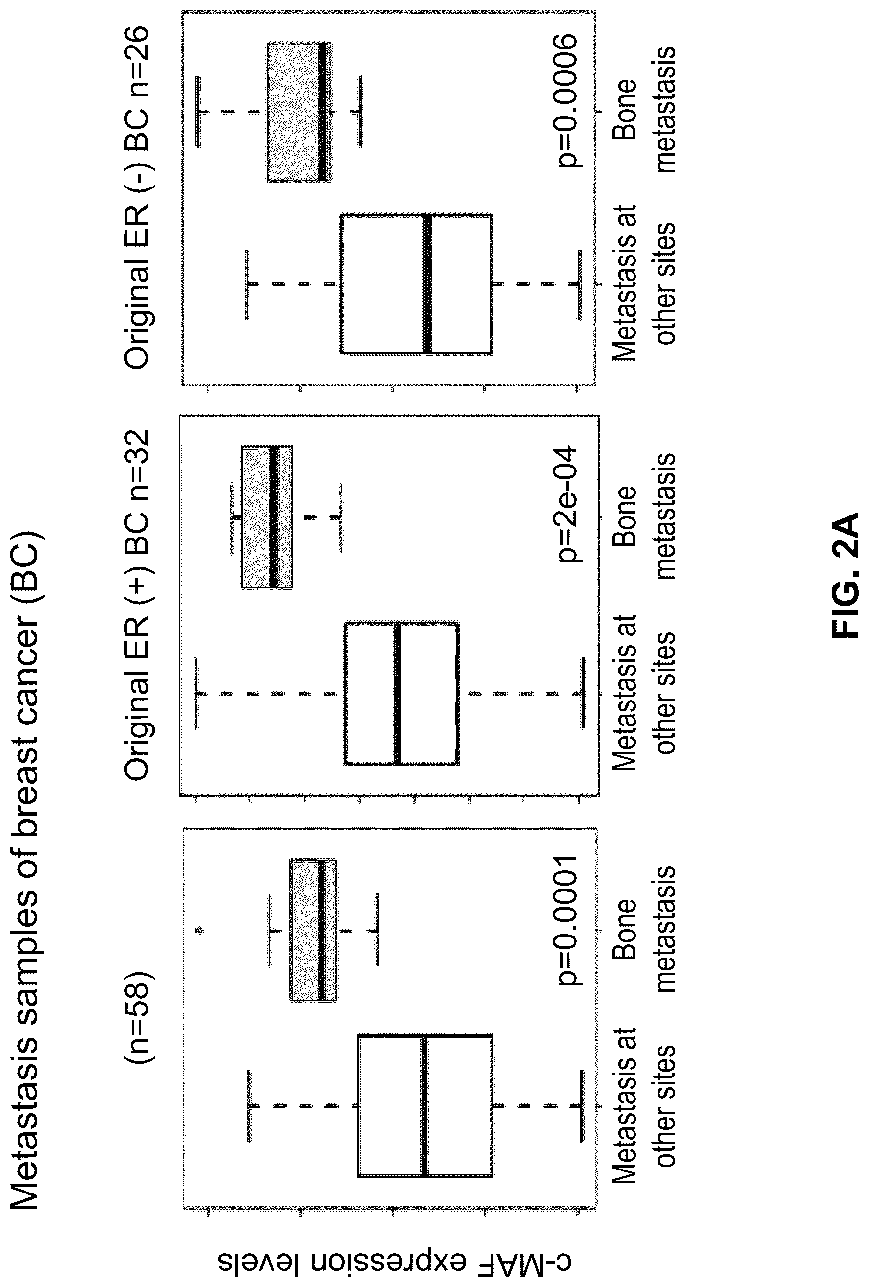 Patent US12312642 Figure 6 – Method for the diagnosis, prognosis and treatment of breast cancer metastasis