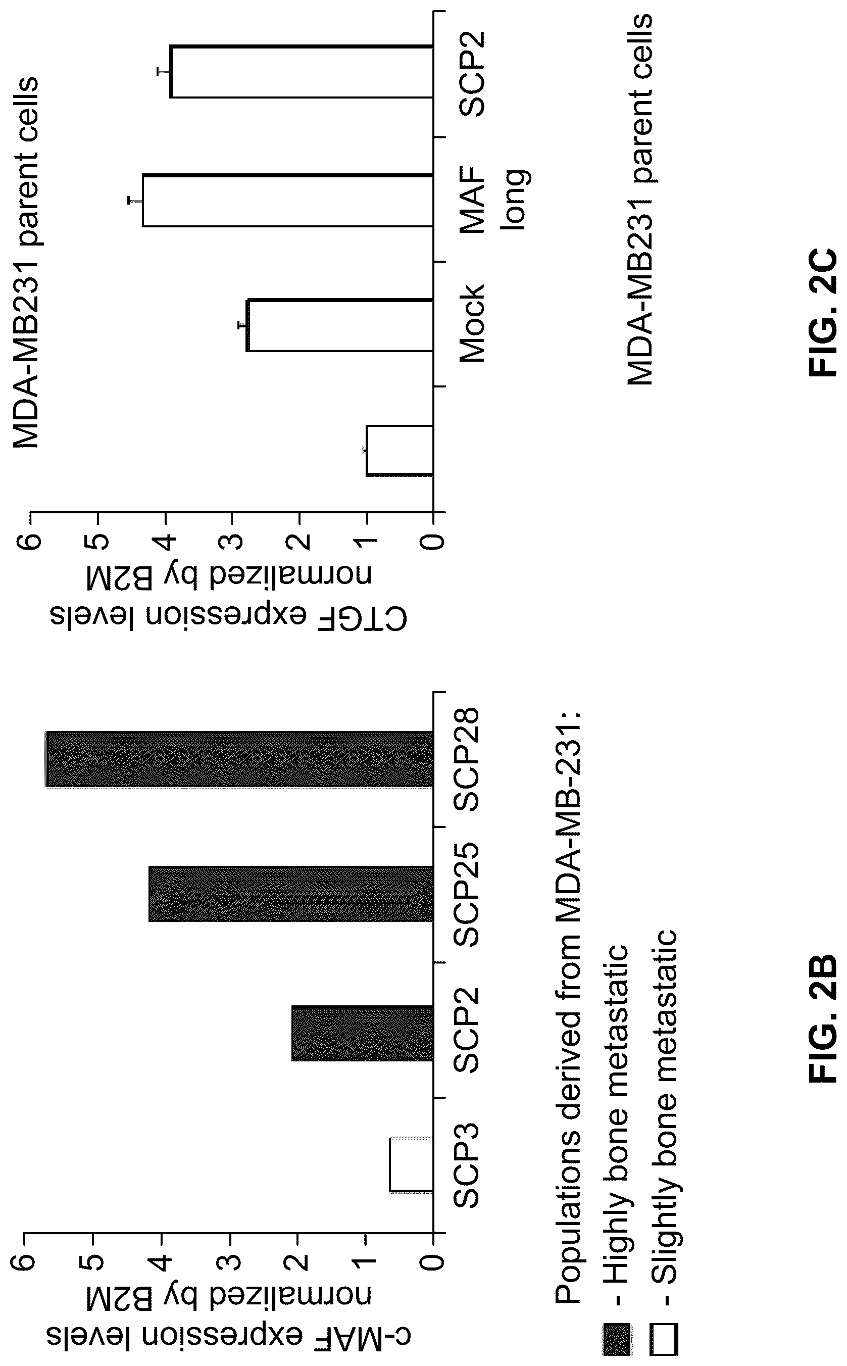 Patent US12312642 Figure 7 – Method for the diagnosis, prognosis and treatment of breast cancer metastasis