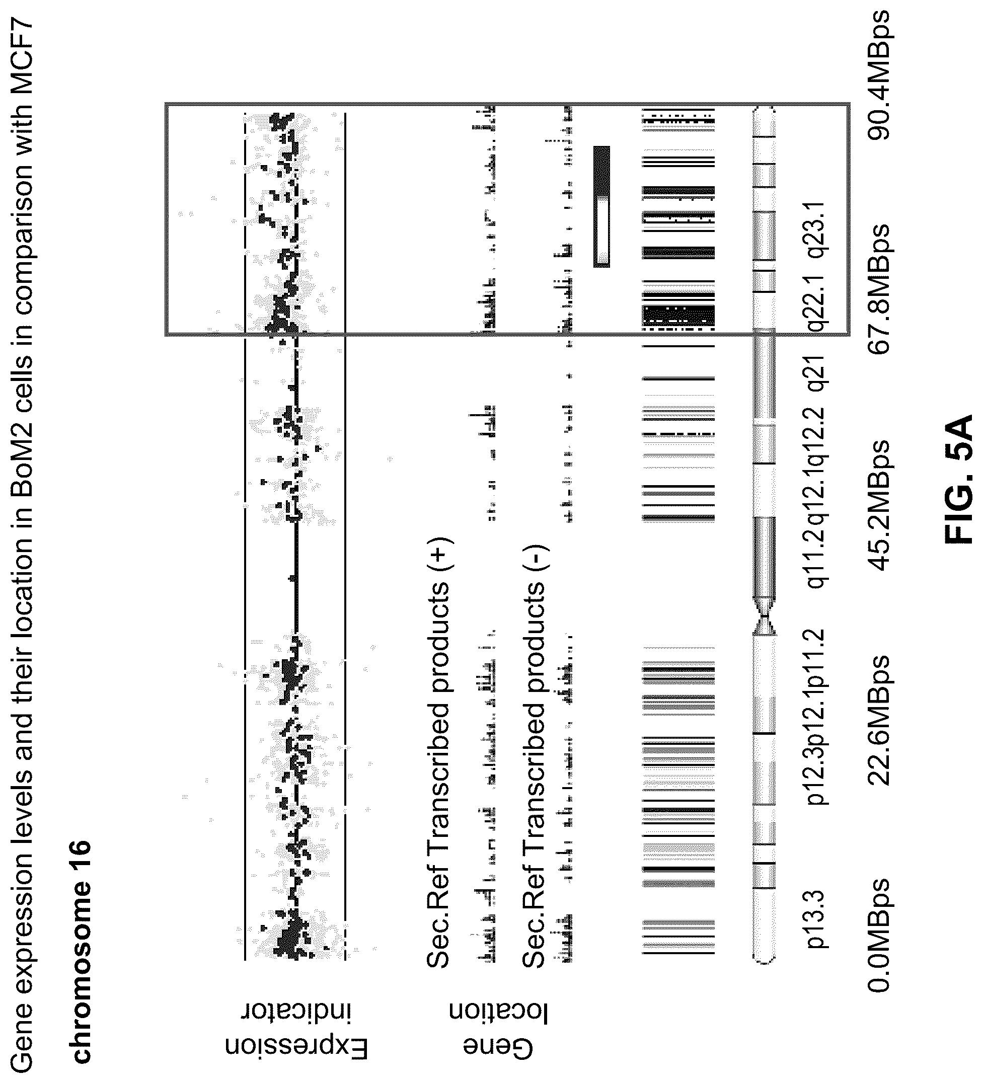 Patent US12312642 Figure 12 – Method for the diagnosis, prognosis and treatment of breast cancer metastasis