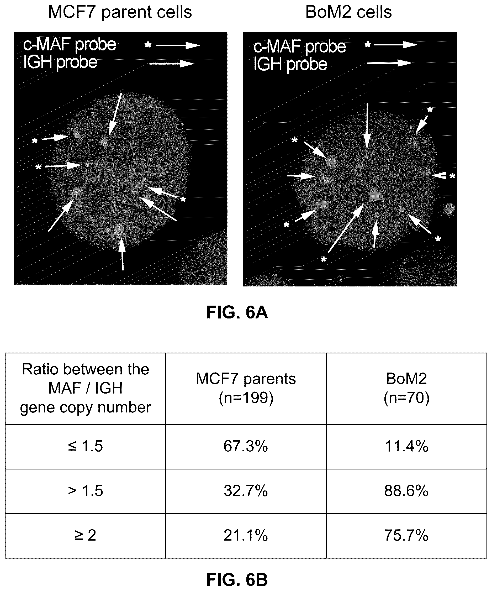 Patent US12312642 Figure 14 – Method for the diagnosis, prognosis and treatment of breast cancer metastasis