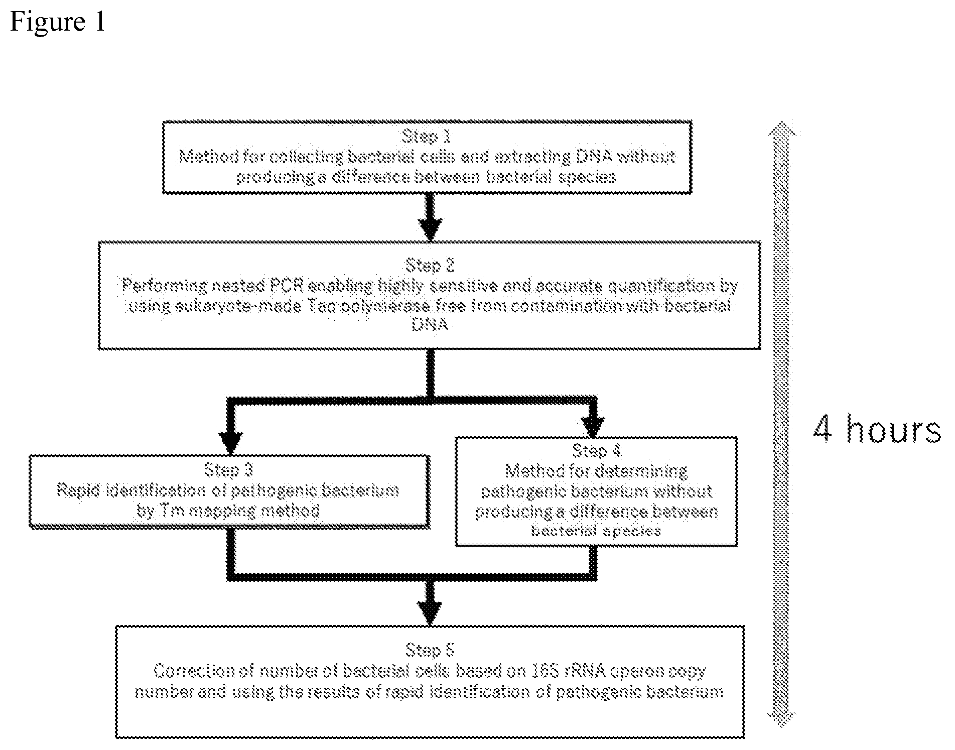 Patent US12312643 Figure 1 – Method for determining bacterial number in specimen