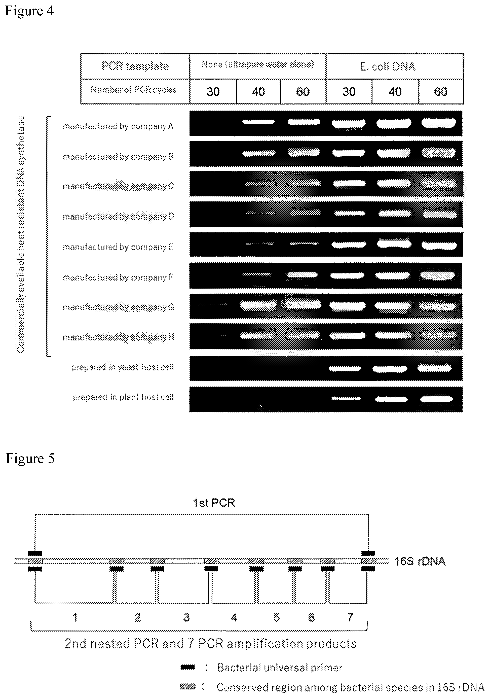 Patent US12312643 Figure 4 – Method for determining bacterial number in specimen