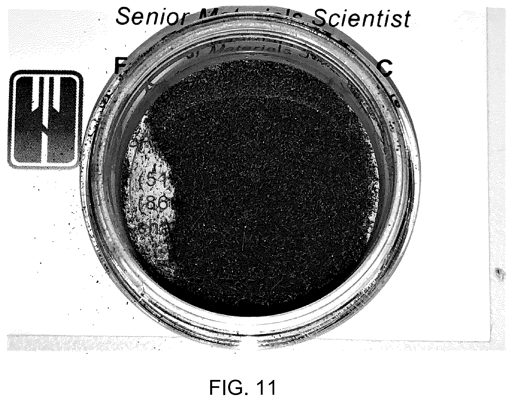 Patent US12312682 Figure 11 – High purity fiber feedstock for loose grain production