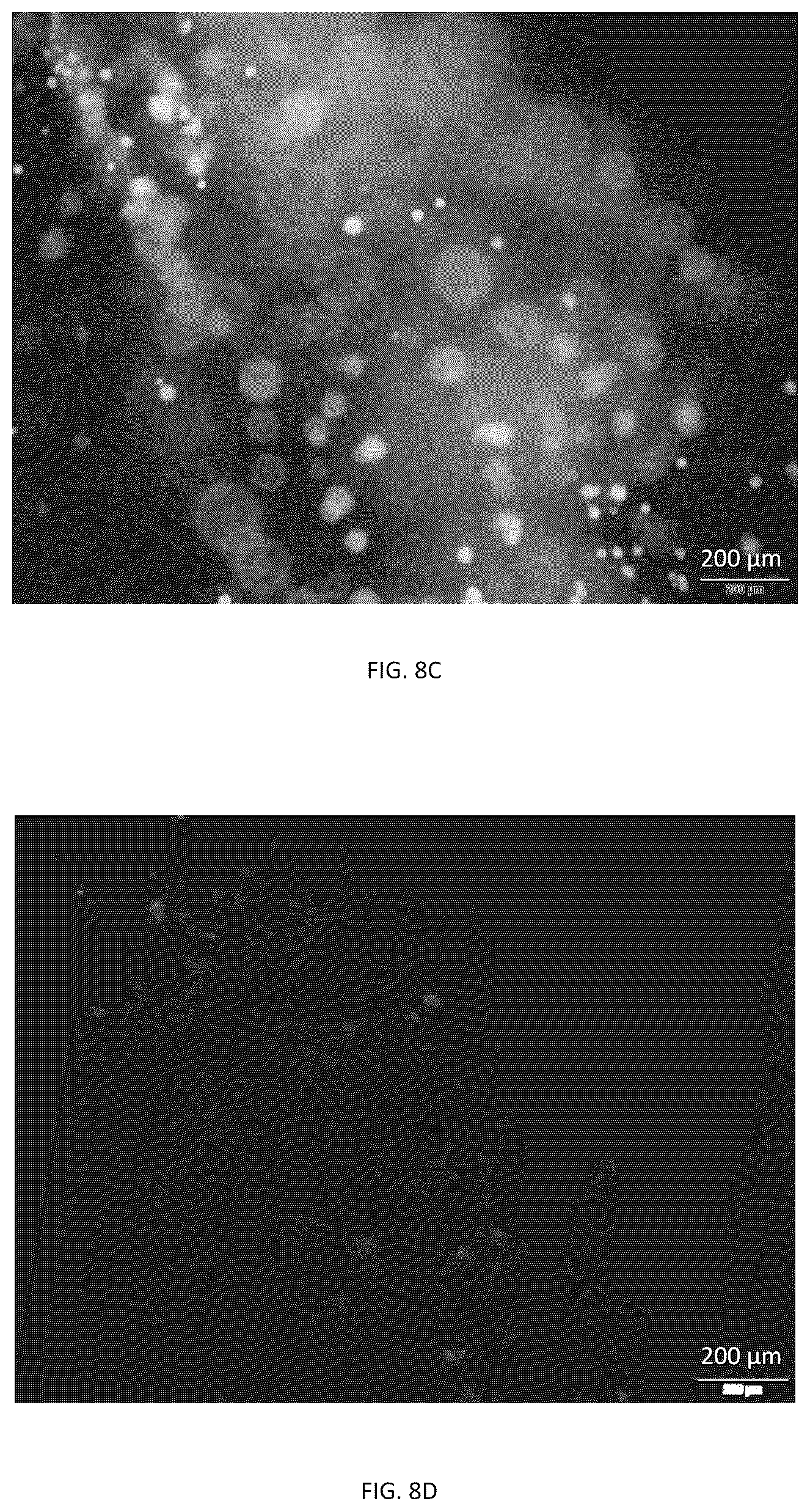Patent US12312708 Figure 13 – Apparatus and a method of drawing a fibre