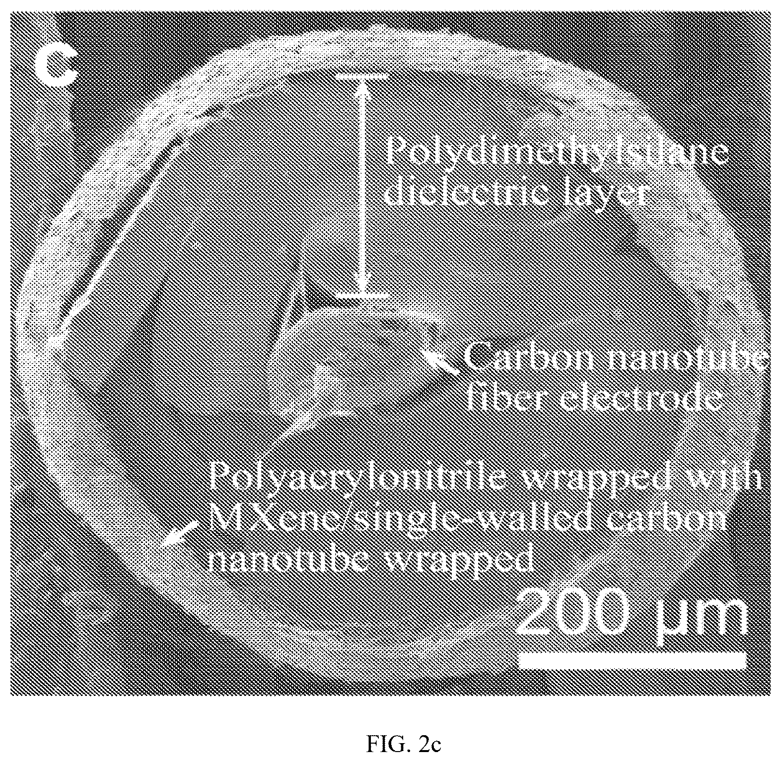 Patent US12312714 Figure 2 – Bionic neuromuscular fiber as well as preparation method and use thereof