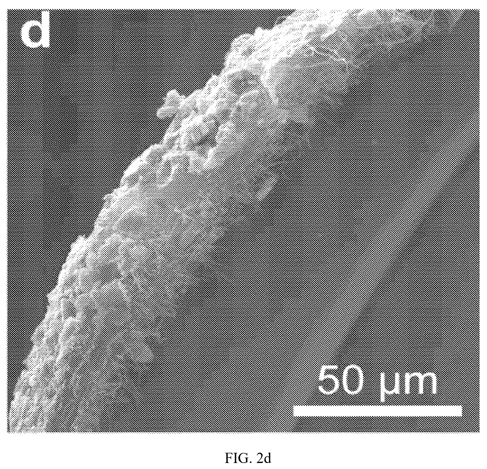 Patent US12312714 Figure 3 – Bionic neuromuscular fiber as well as preparation method and use thereof