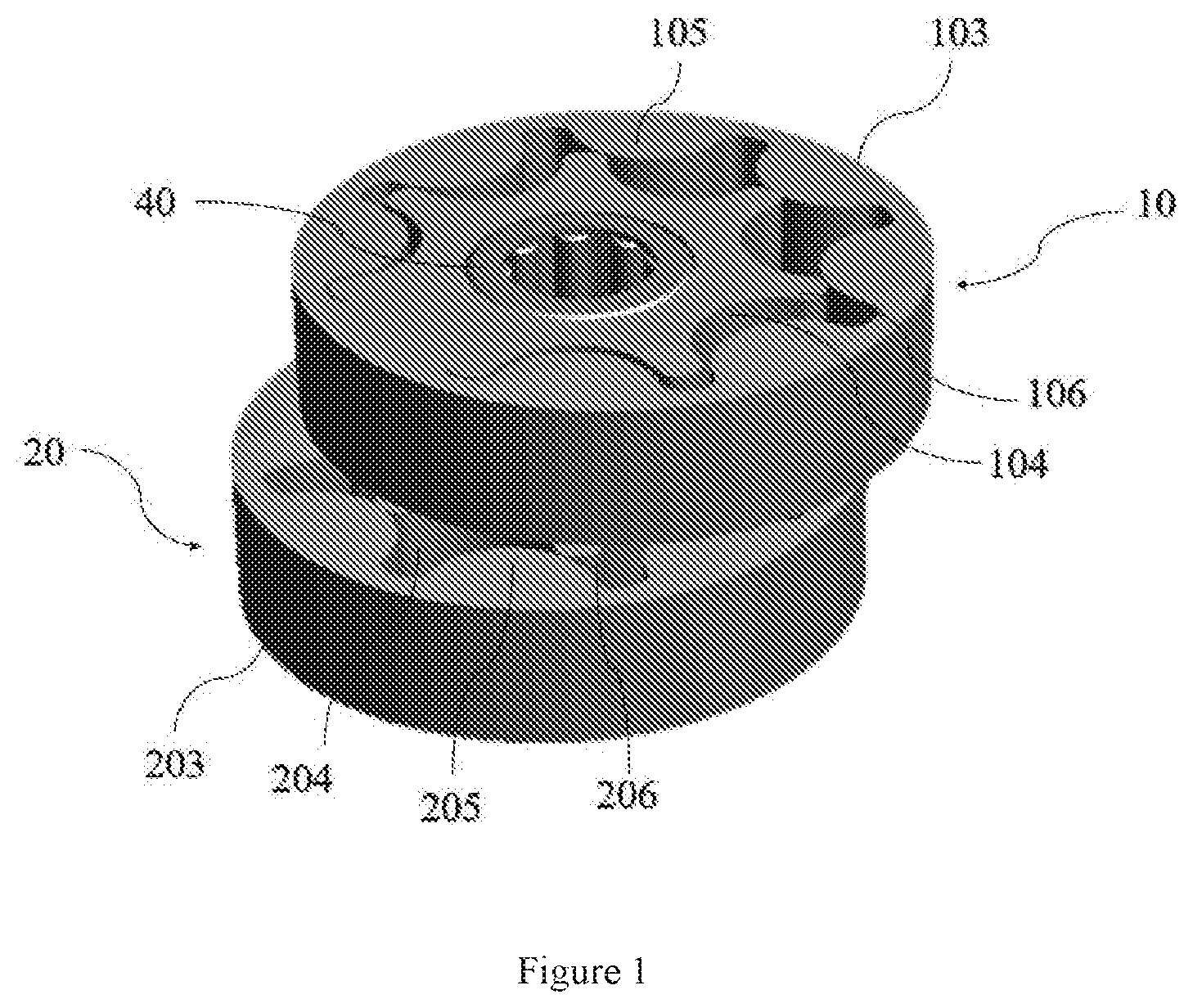 Patent US12313067 Figure 1 – Dual gerotor apparatus, a powertrain assembley and an electrified vehicle