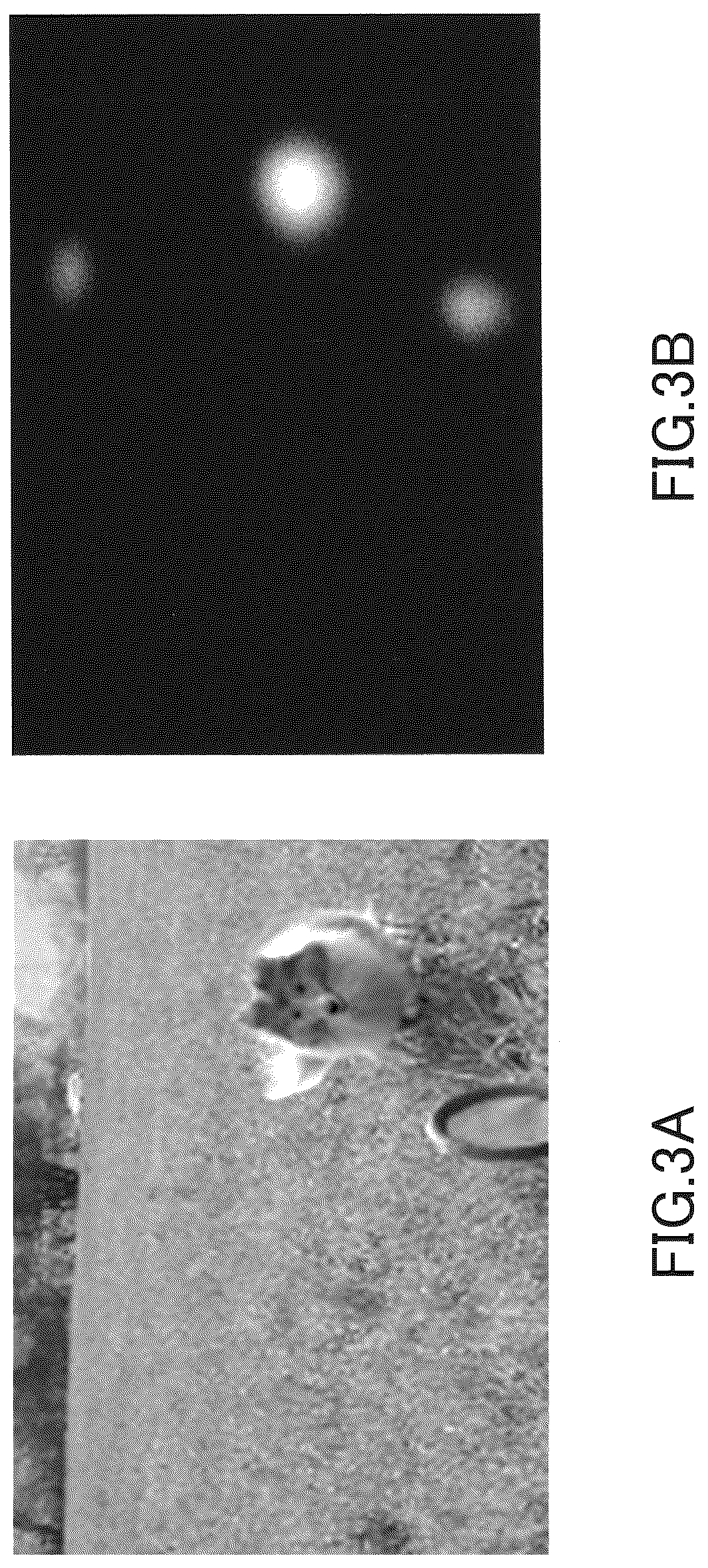 Patent US12313427 Figure 3 – Map data generation device