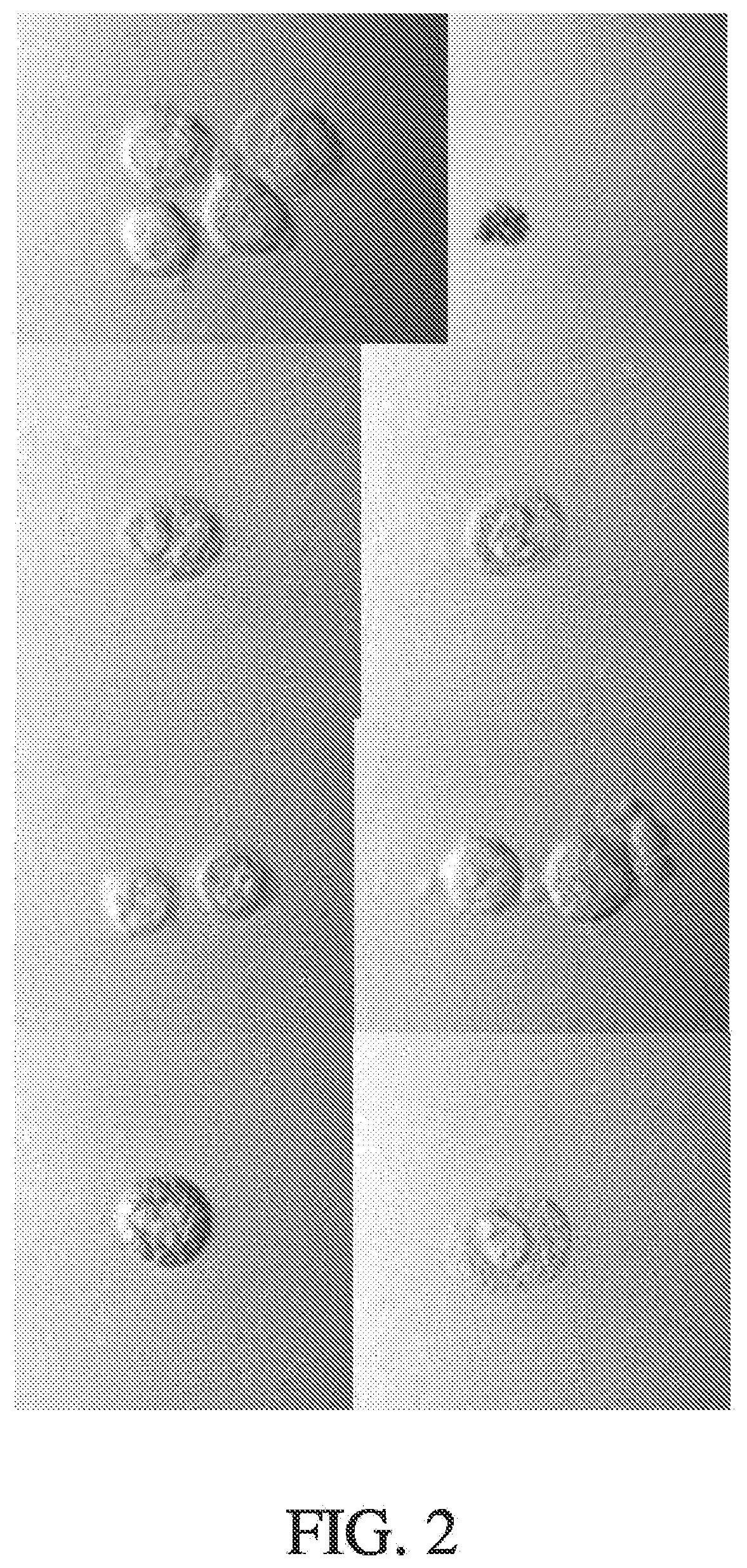 Patent US12313522 Figure 2 – Systems and methods for improved imaging and fluorescence in flow cytometry and other applications
