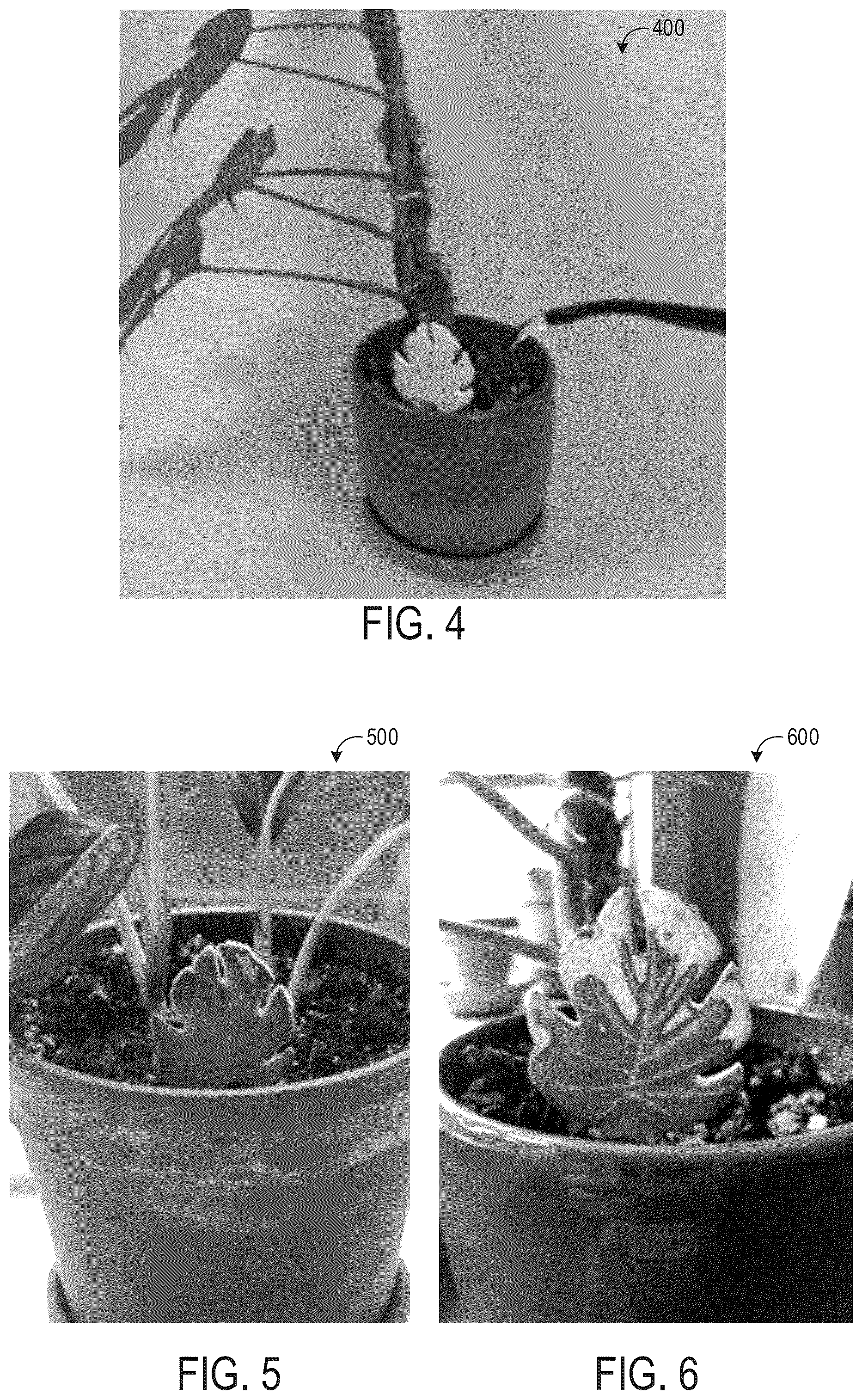 Patent US12313543 Figure 2 – Indicator for soil moisture content