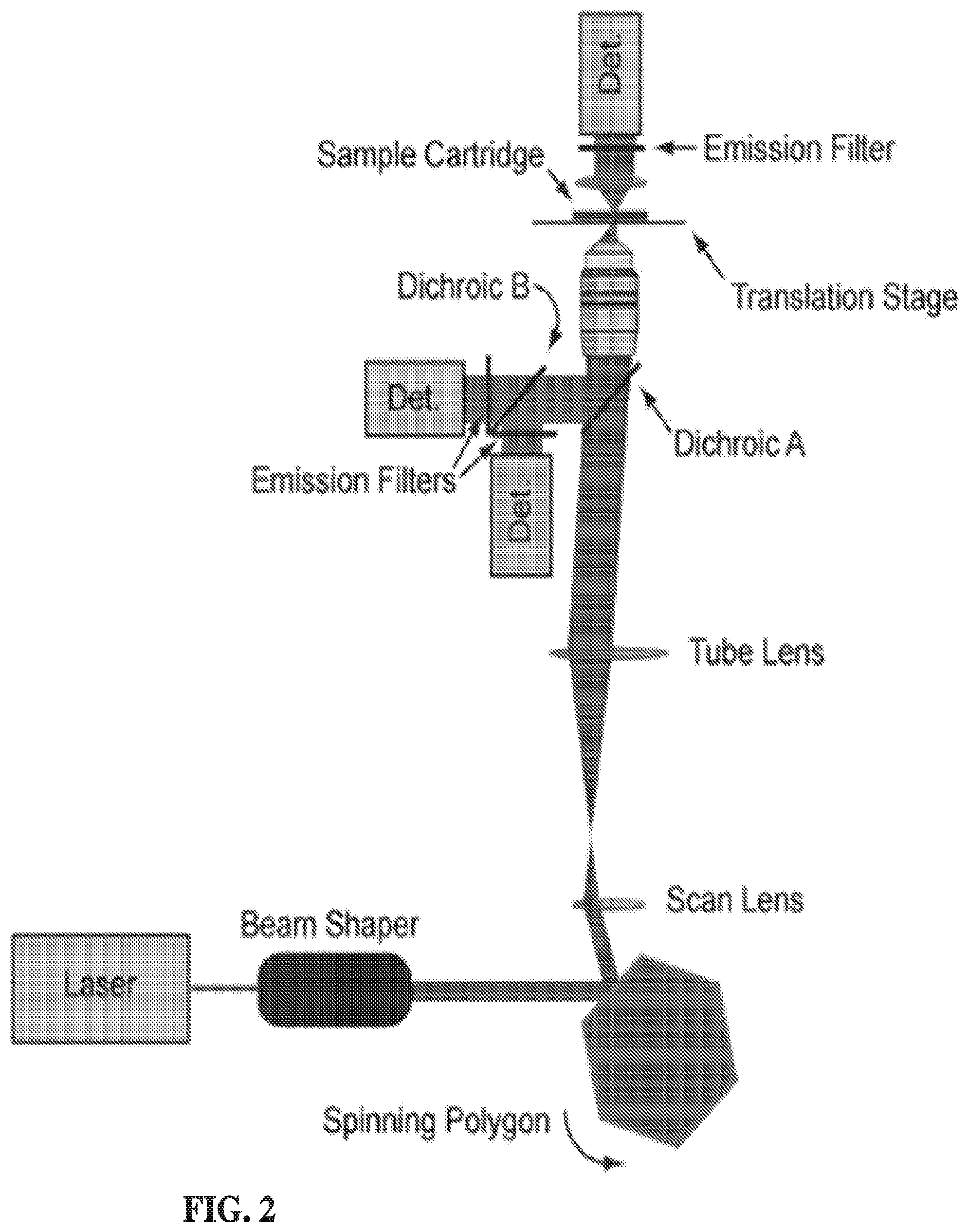 Patent US12313548 Figure 2 – Fast multiphoton microscope