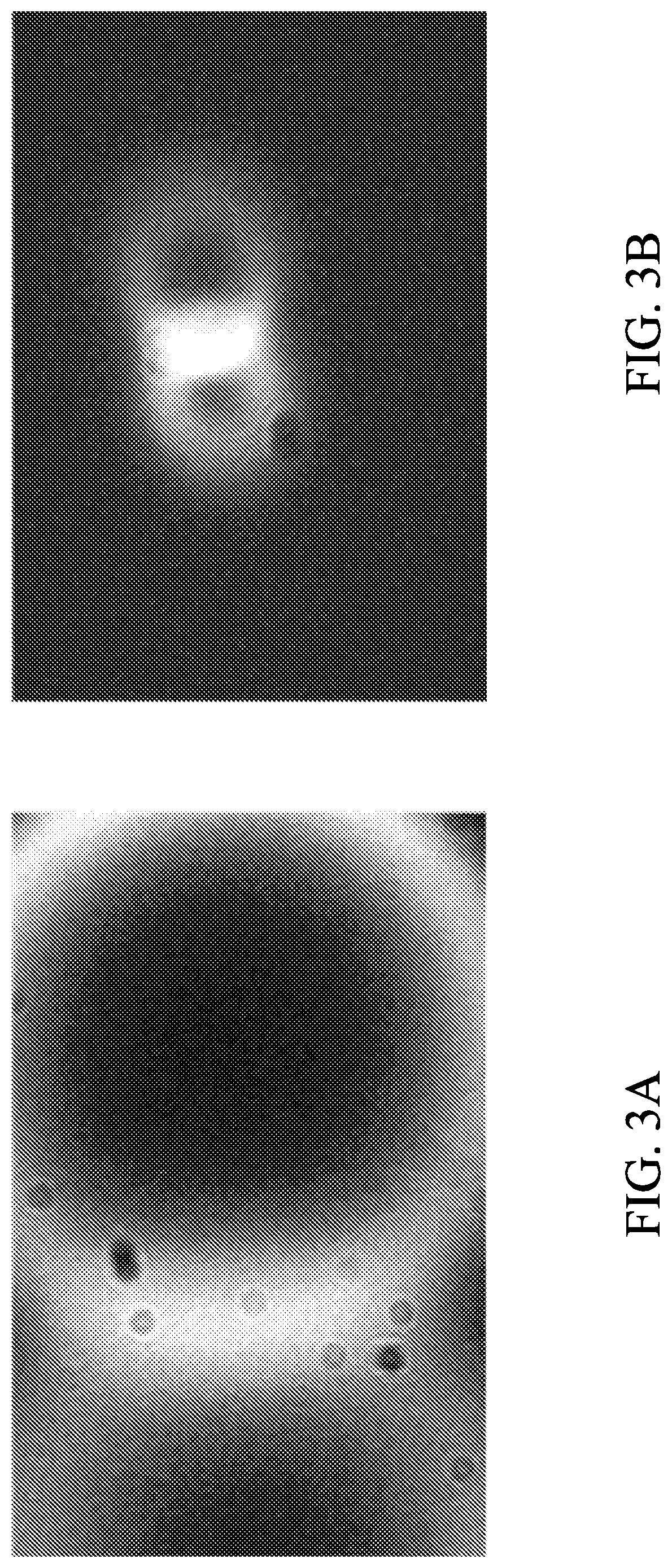 Patent US12313549 Figure 2 – Two-photon fluorescence microscopy at extremely low excitation intensity