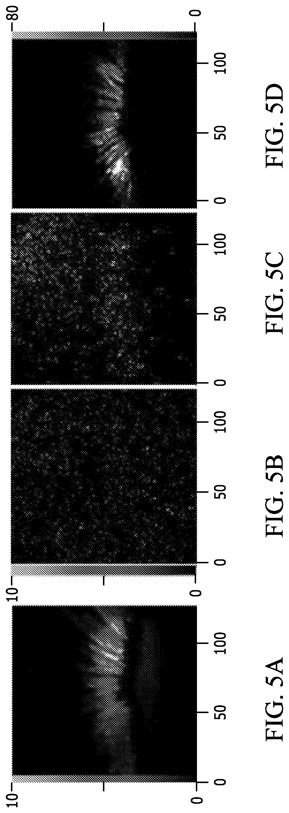 Patent US12313549 Figure 4 – Two-photon fluorescence microscopy at extremely low excitation intensity