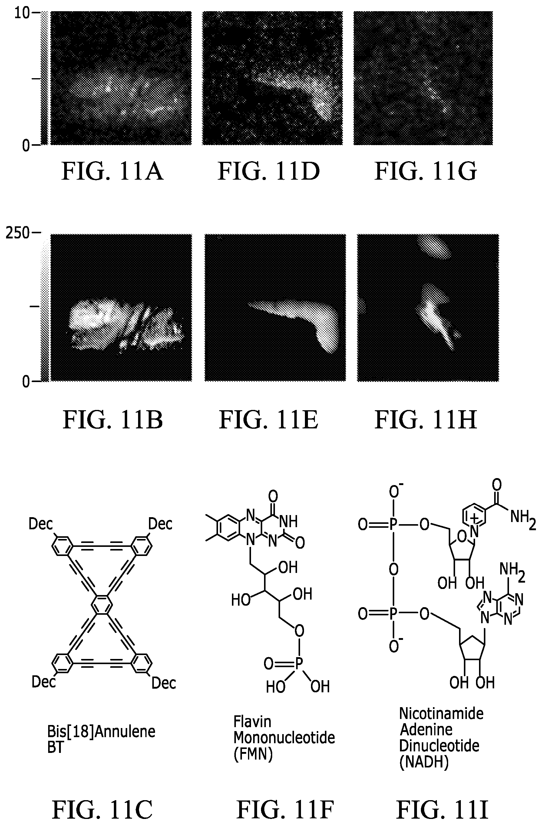 Patent US12313549 Figure 10 – Two-photon fluorescence microscopy at extremely low excitation intensity