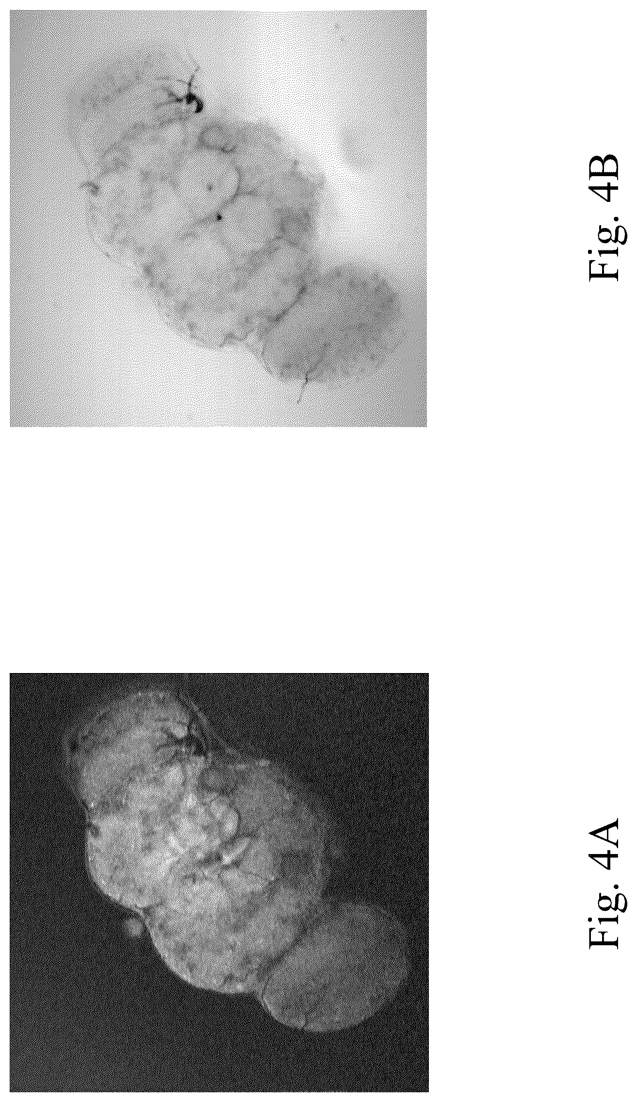 Patent US12313551 Figure 4 – Coherent Raman spectro-microscopy system and method thereof