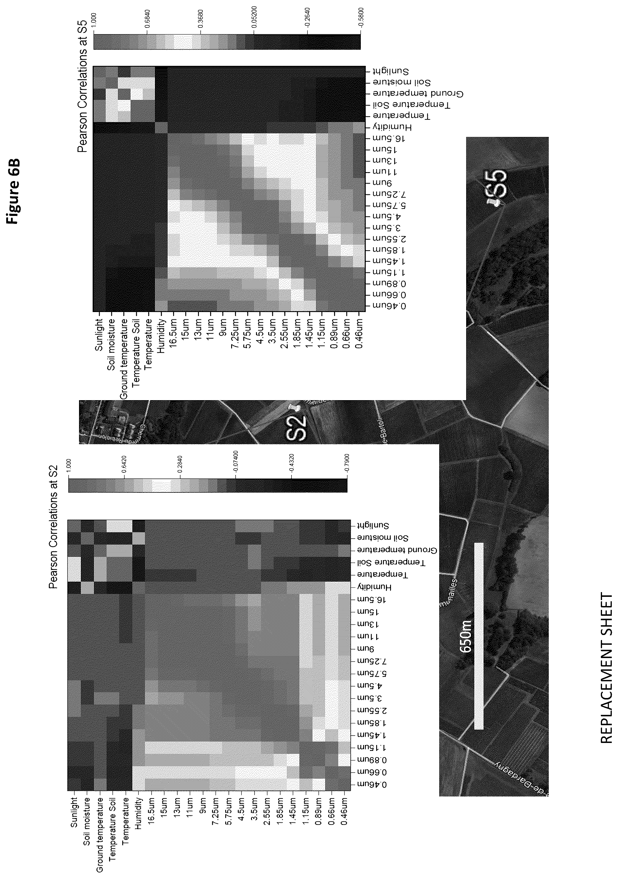 Patent US12313559 Figure 6 – System and method for detecting the presence of spores in fields