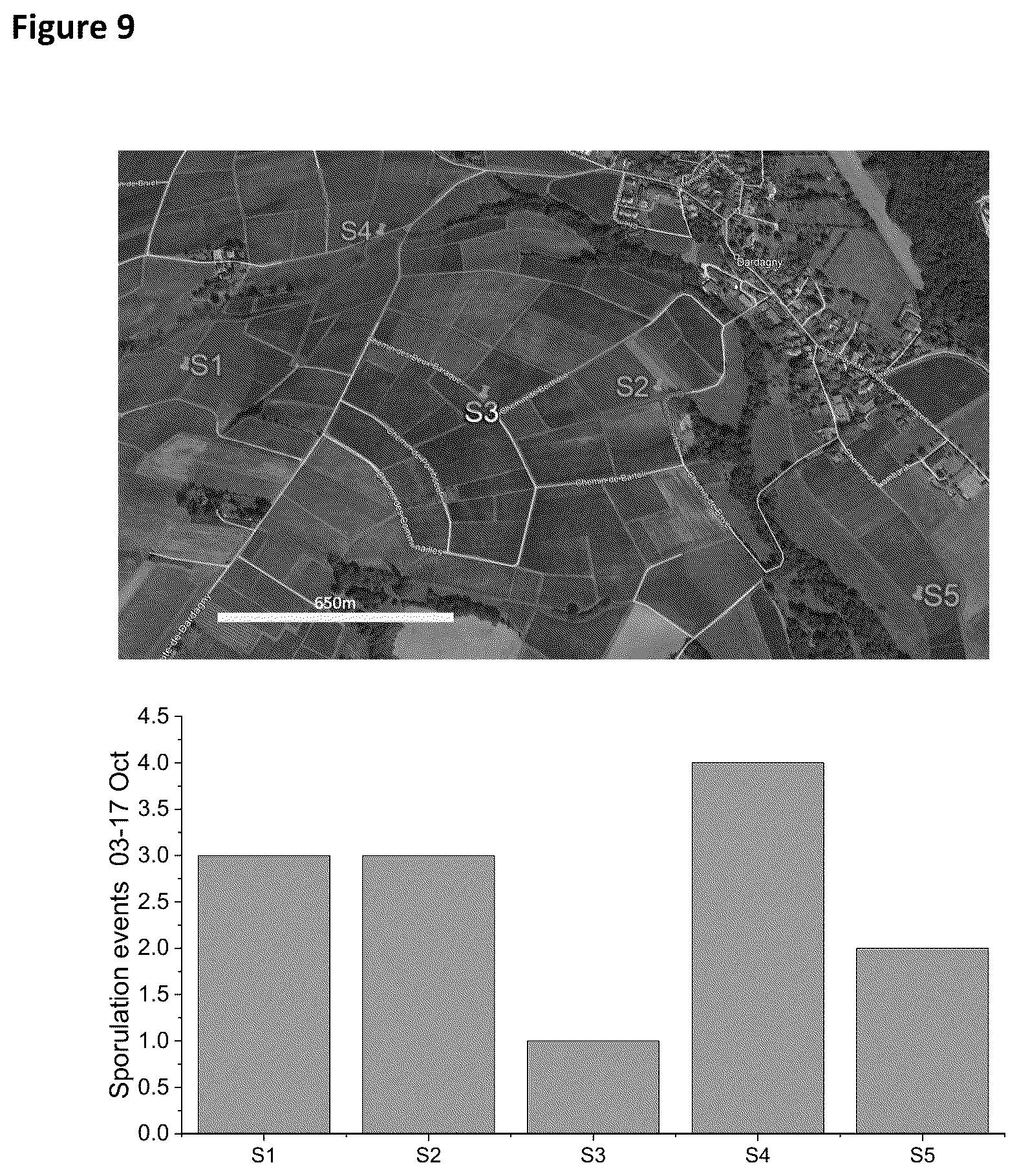 Patent US12313559 Figure 8 – System and method for detecting the presence of spores in fields