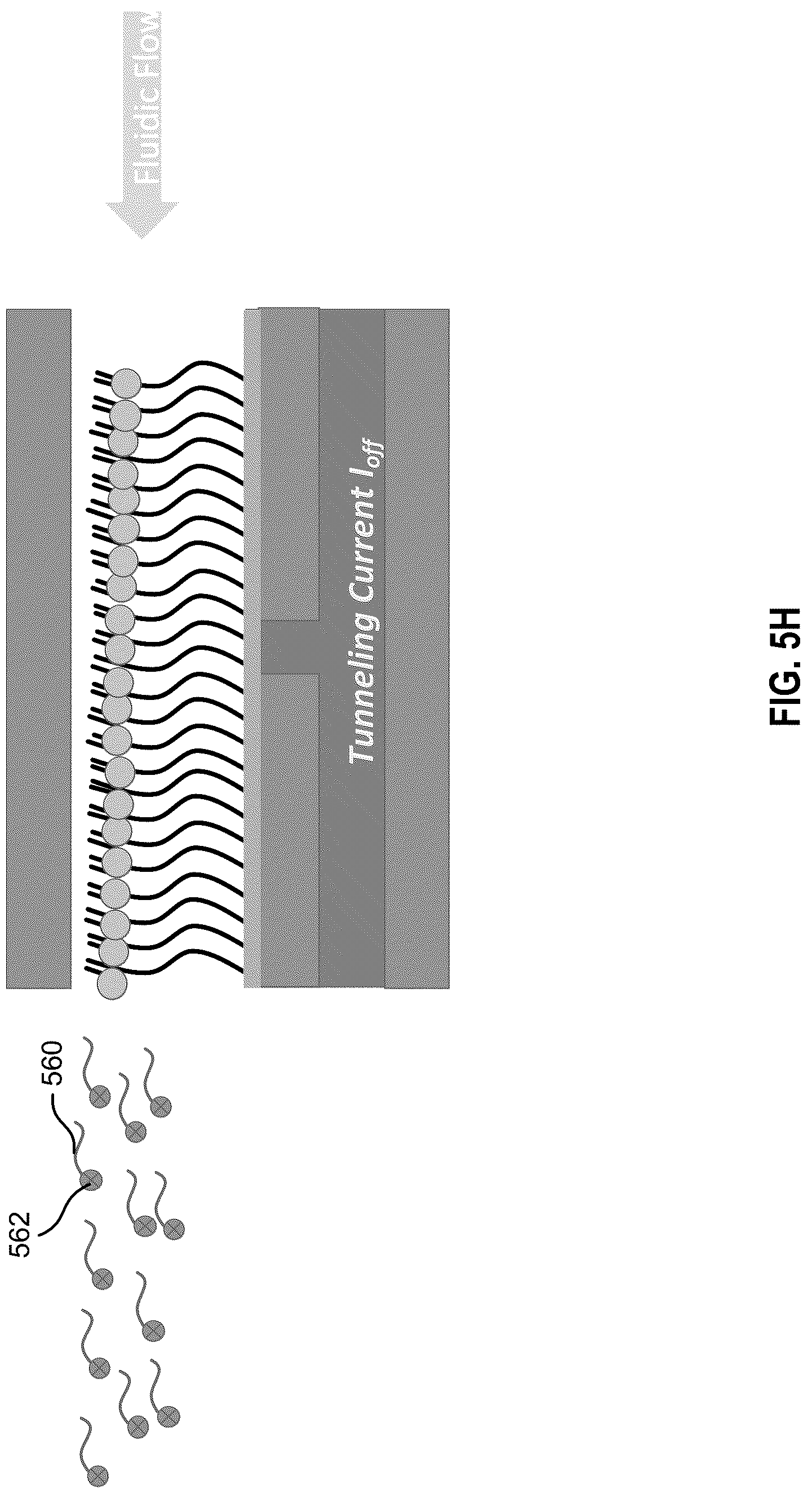 Patent US12313584 Figure 10 – Electric field-assisted junctions for sequencing
