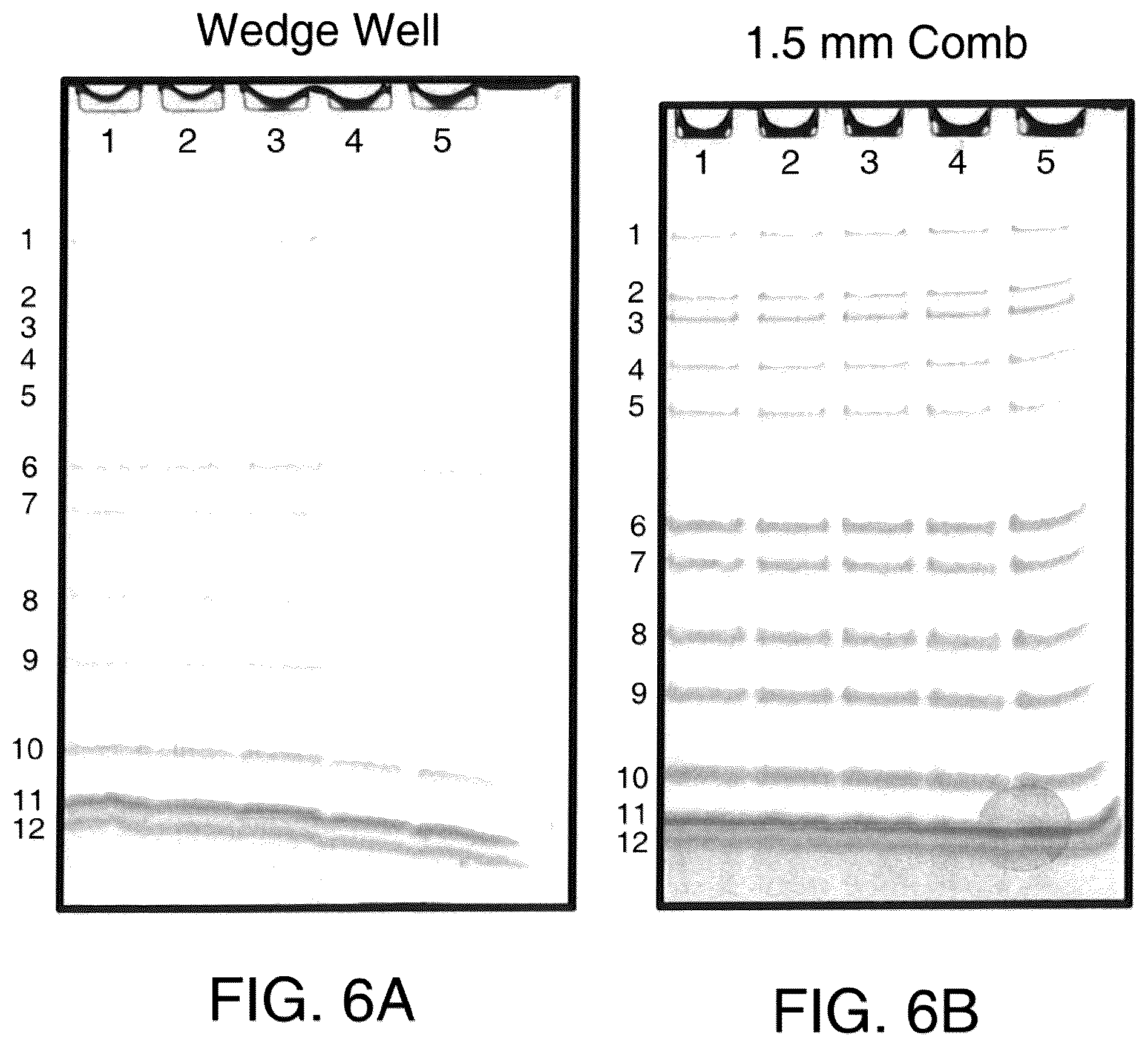 Patent US12313587 Figure 9 – Electrophoresis gel cassette and comb