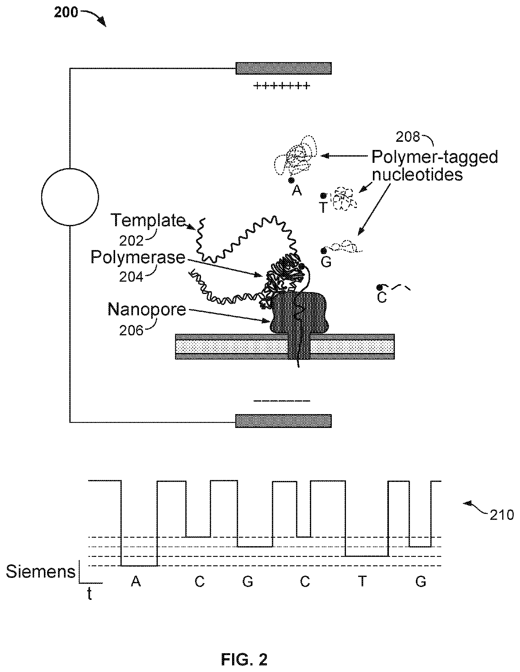 Patent US12313588 Figure 2 – Molded flow channel
