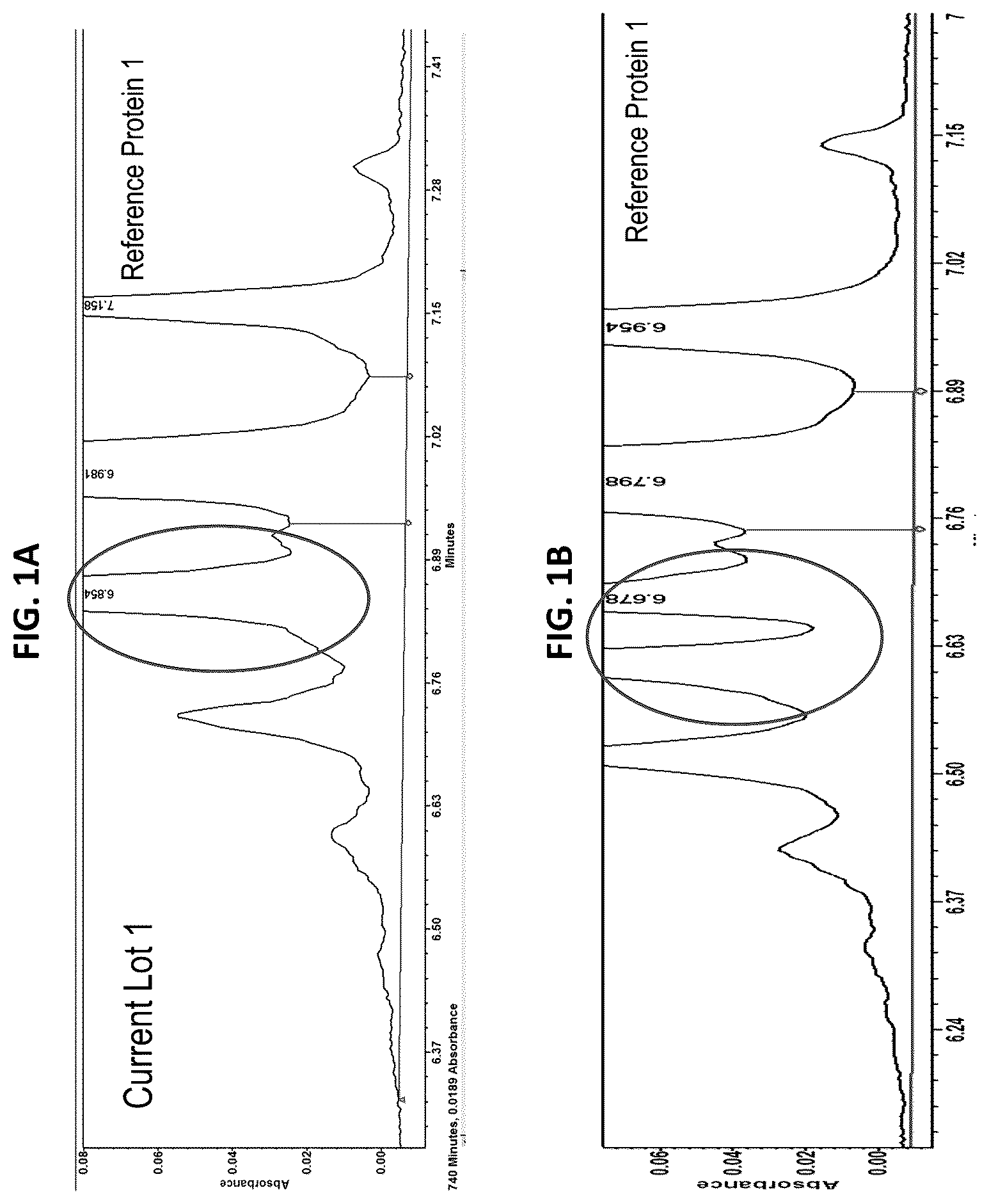 Patent US12313589 — Liquid chromatography-mass spectrometry (LC-MS) methods for analyzing ampholyte lot variation — Figure 1