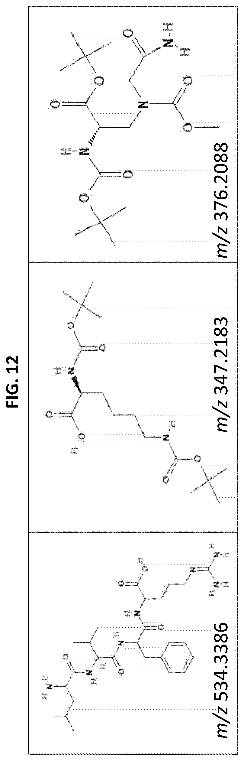 Patent US12313589 Figure 13 – Liquid chromatography-mass spectrometry (LC-MS) methods for analyzing ampholyte lot variation