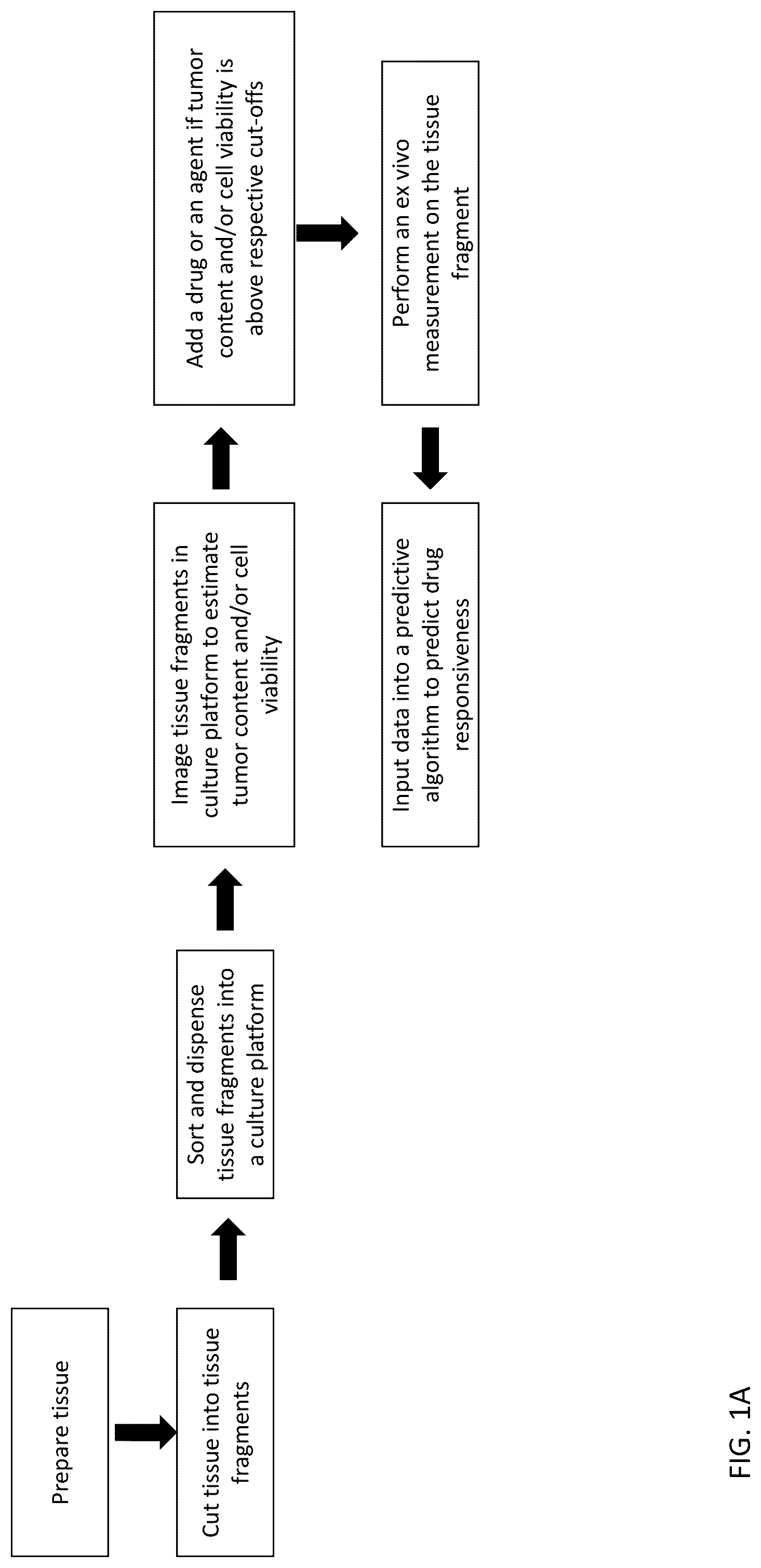 Patent US12313624 Figure 1 – Ex vivo systems and methods for determining the effect of a drug or other agent on a tissue