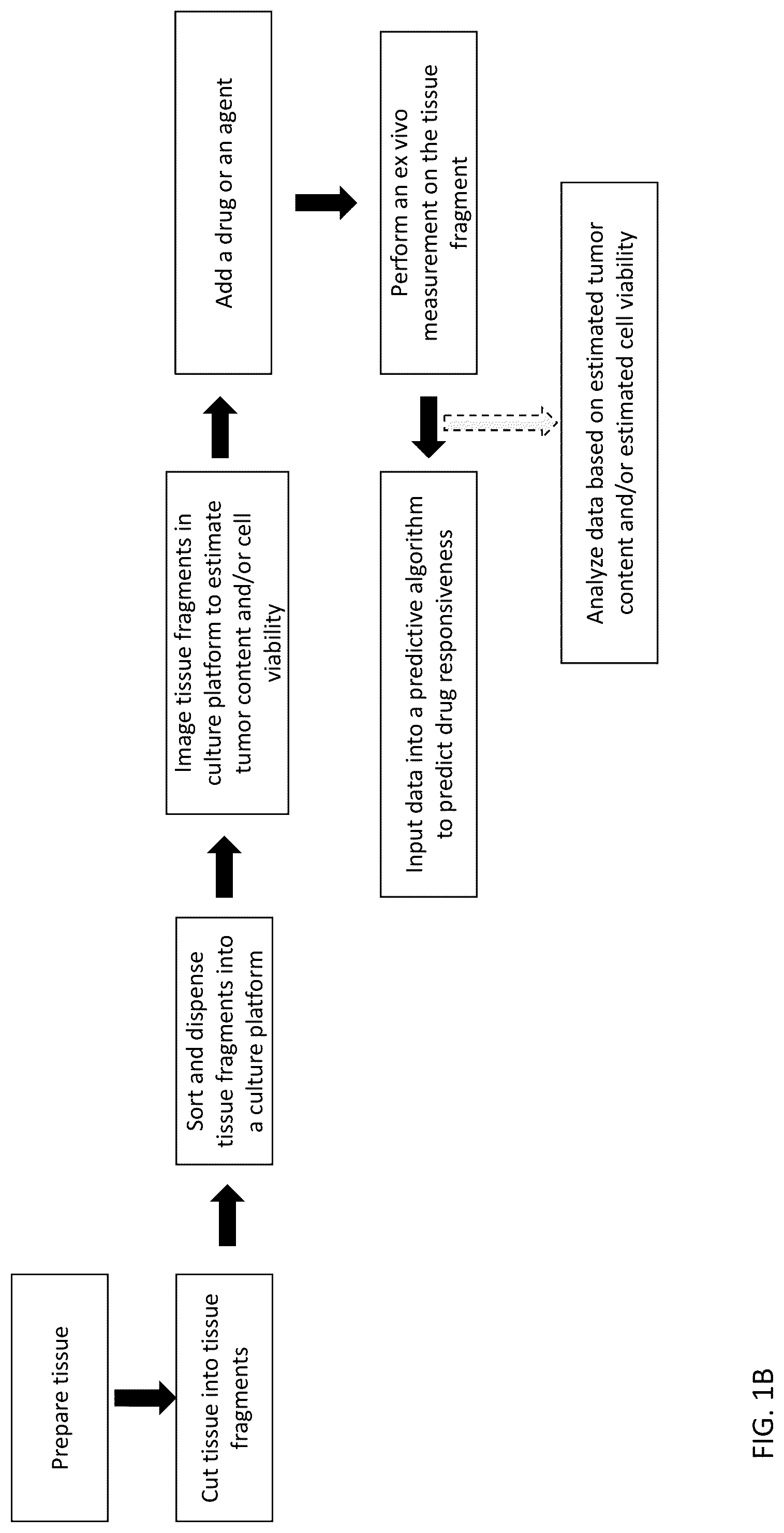 Patent US12313624 Figure 2 – Ex vivo systems and methods for determining the effect of a drug or other agent on a tissue