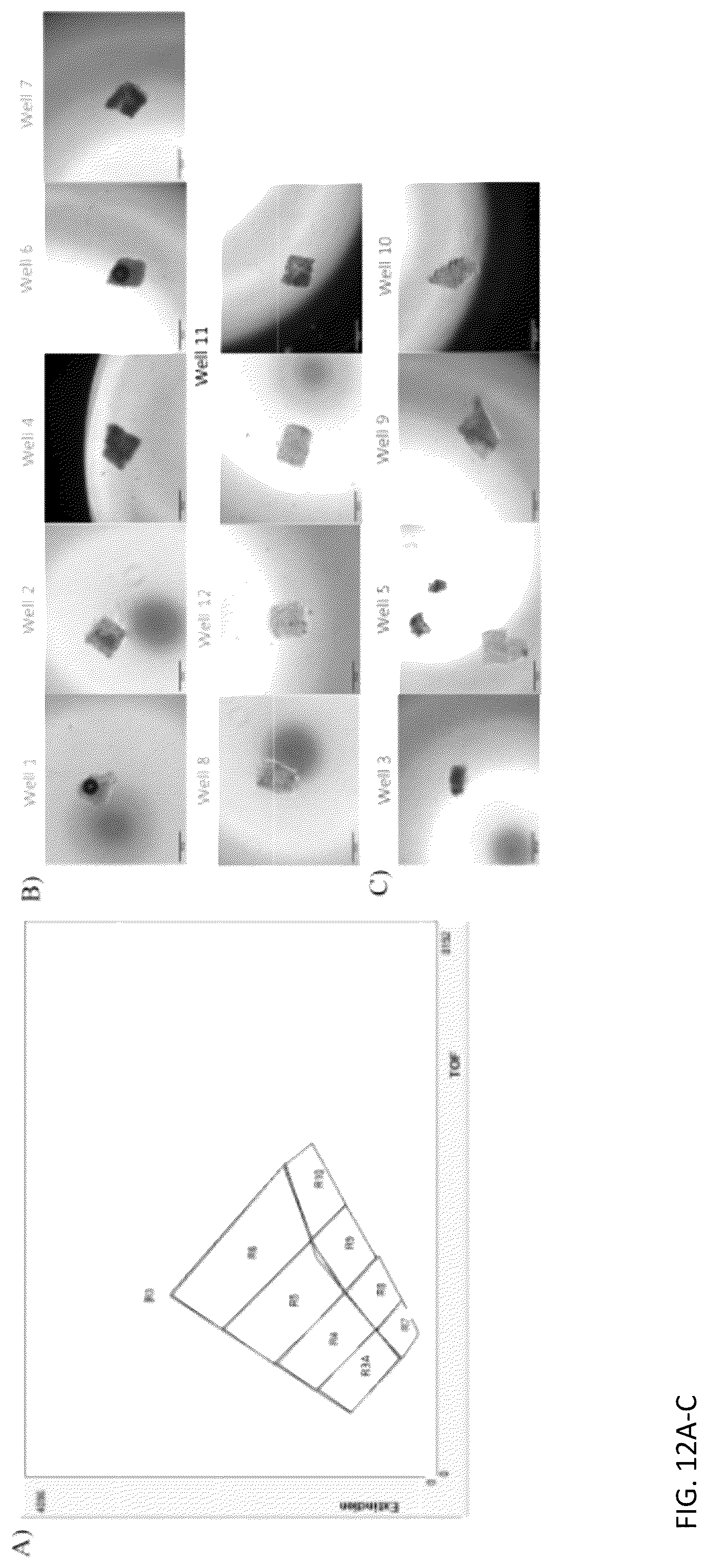 Patent US12313624 Figure 15 – Ex vivo systems and methods for determining the effect of a drug or other agent on a tissue