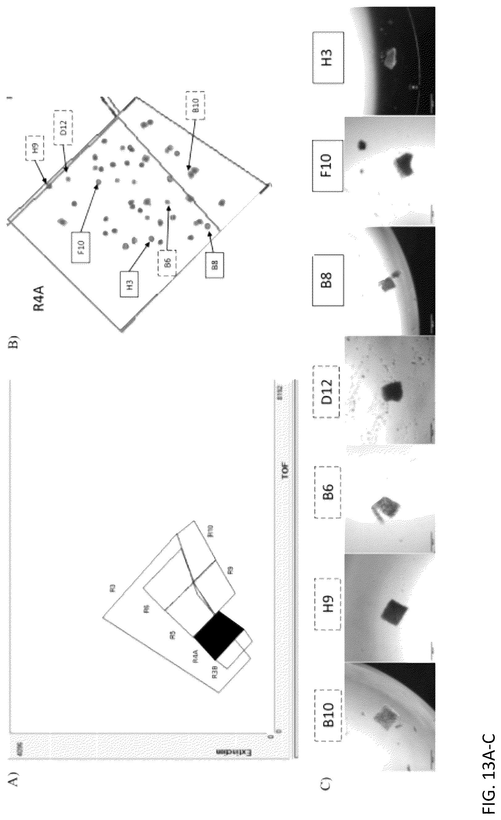 Patent US12313624 Figure 17 – Ex vivo systems and methods for determining the effect of a drug or other agent on a tissue