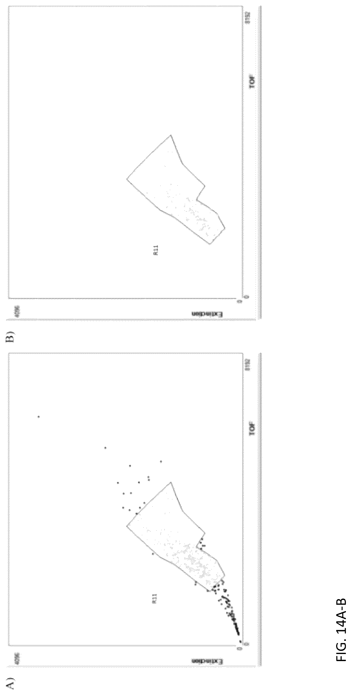 Patent US12313624 Figure 19 – Ex vivo systems and methods for determining the effect of a drug or other agent on a tissue