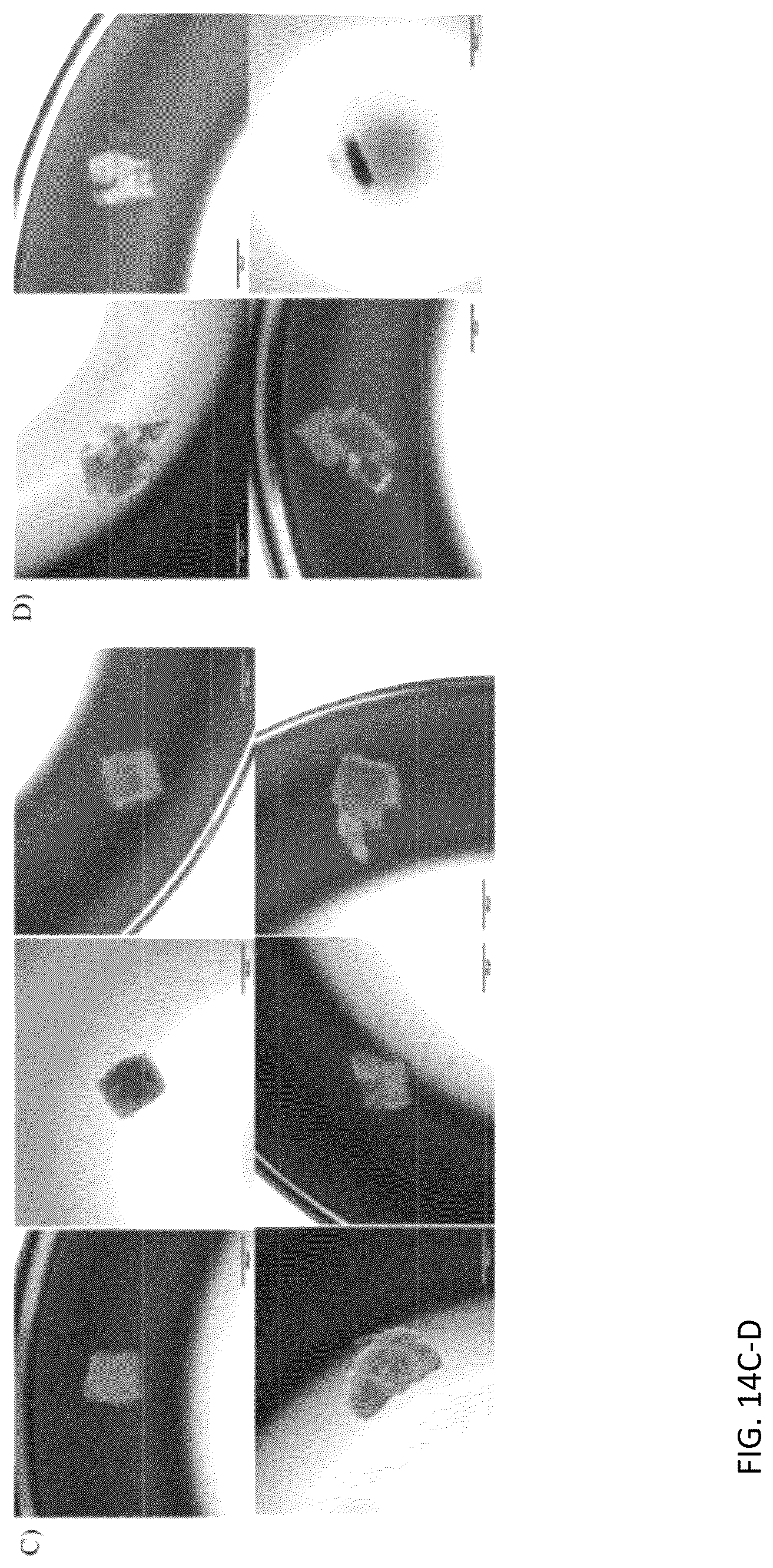 Patent US12313624 Figure 20 – Ex vivo systems and methods for determining the effect of a drug or other agent on a tissue