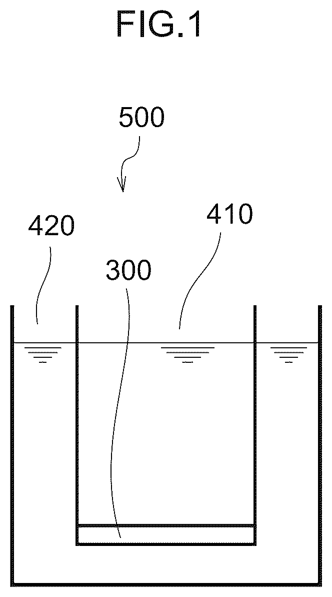 Patent US12313625 — Living tissue model device, vascular wall model, vascular wall model device and method of evaluating test substance — Figure 1