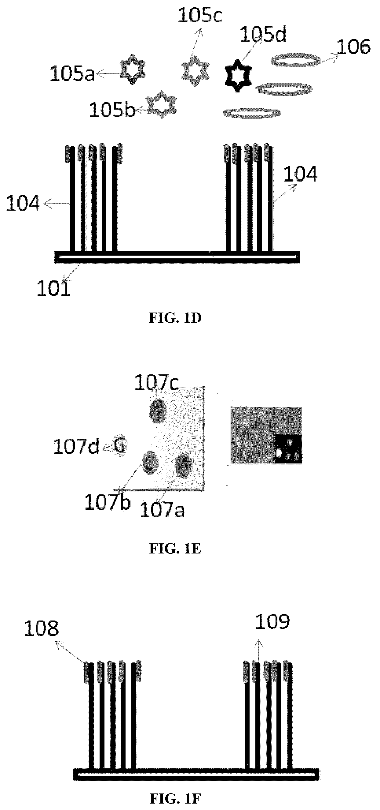 Patent US12313627 Figure 2 – Multivalent binding composition for nucleic acid analysis