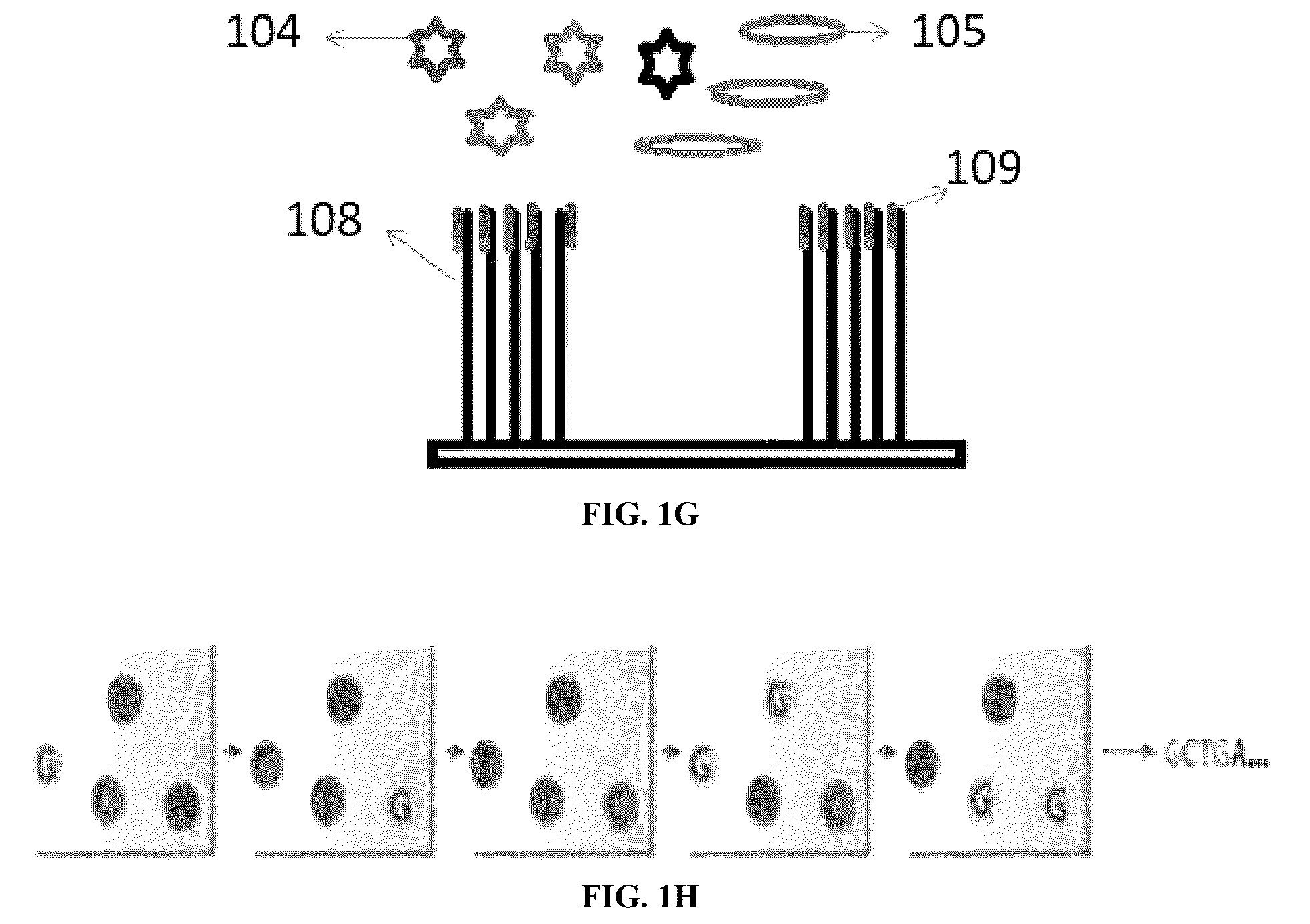 Patent US12313627 Figure 3 – Multivalent binding composition for nucleic acid analysis