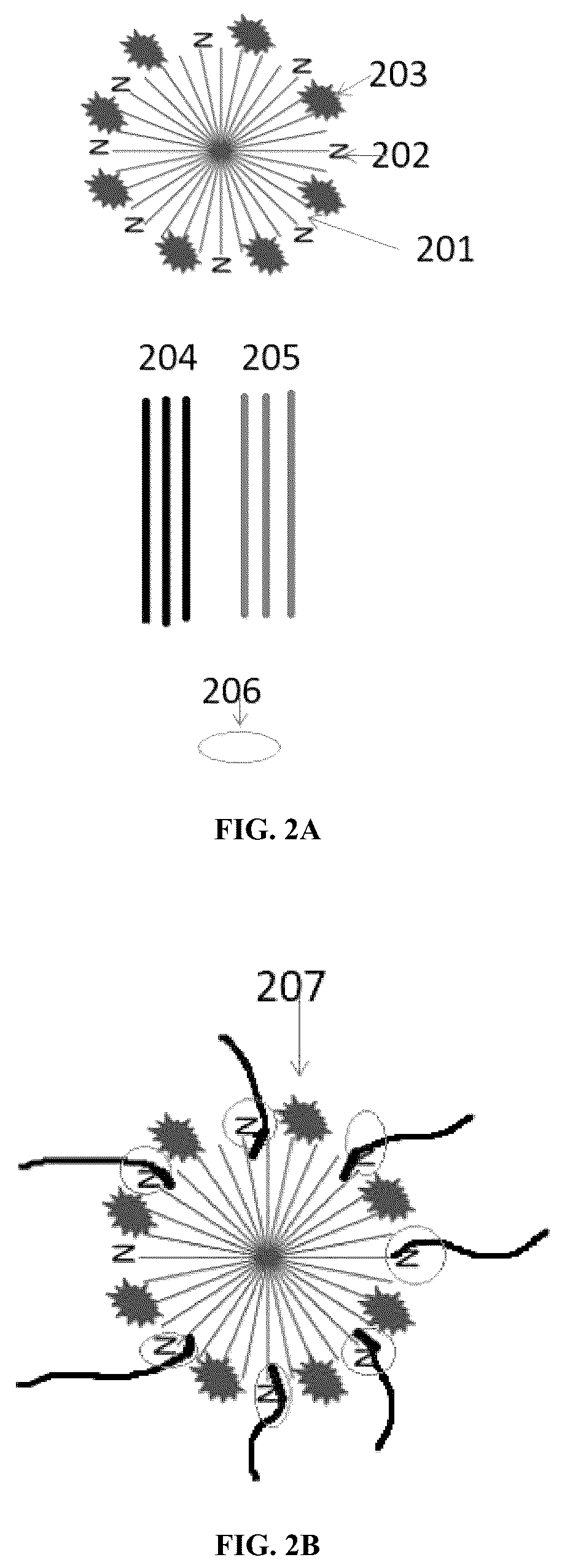 Patent US12313627 Figure 4 – Multivalent binding composition for nucleic acid analysis
