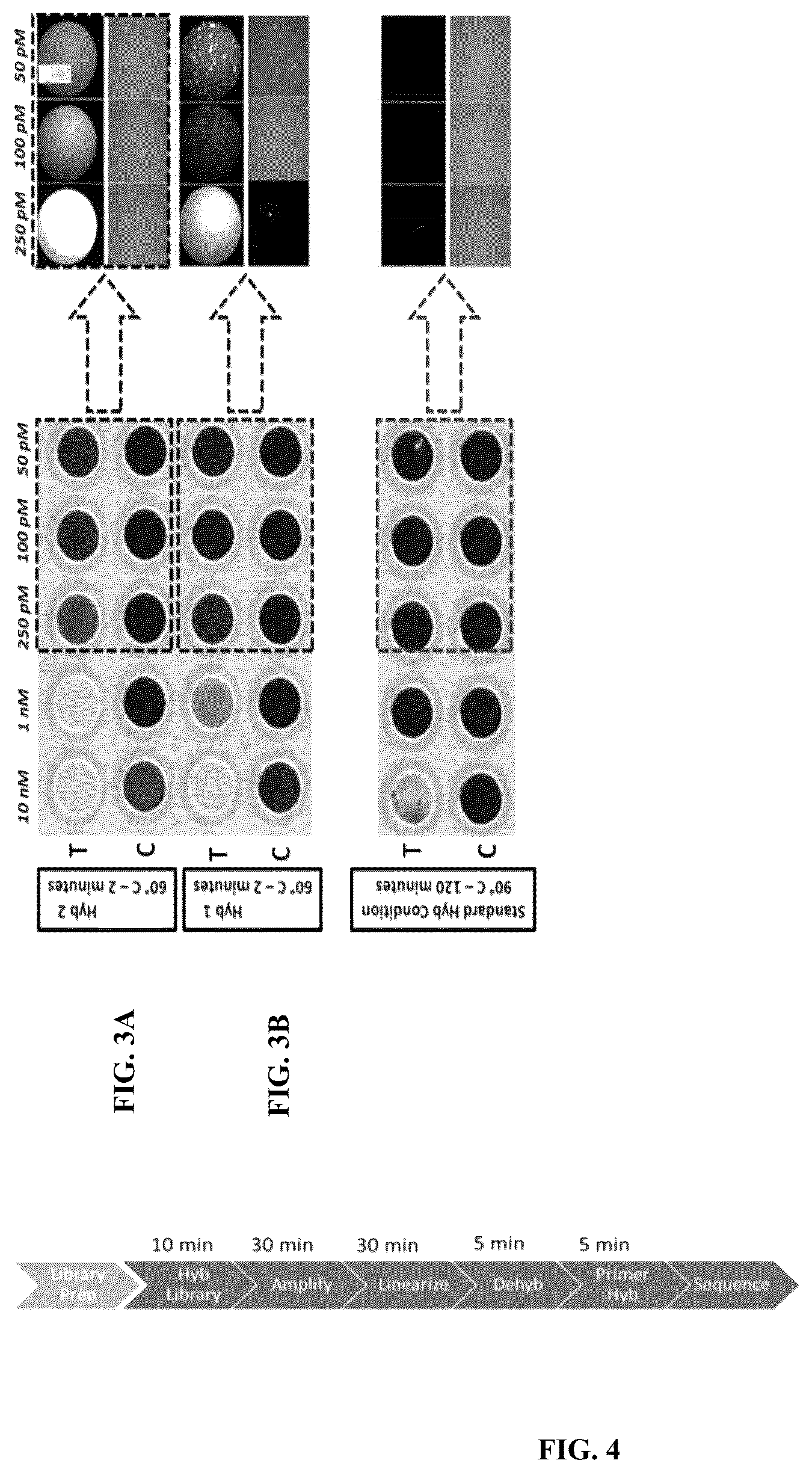 Patent US12313627 Figure 5 – Multivalent binding composition for nucleic acid analysis