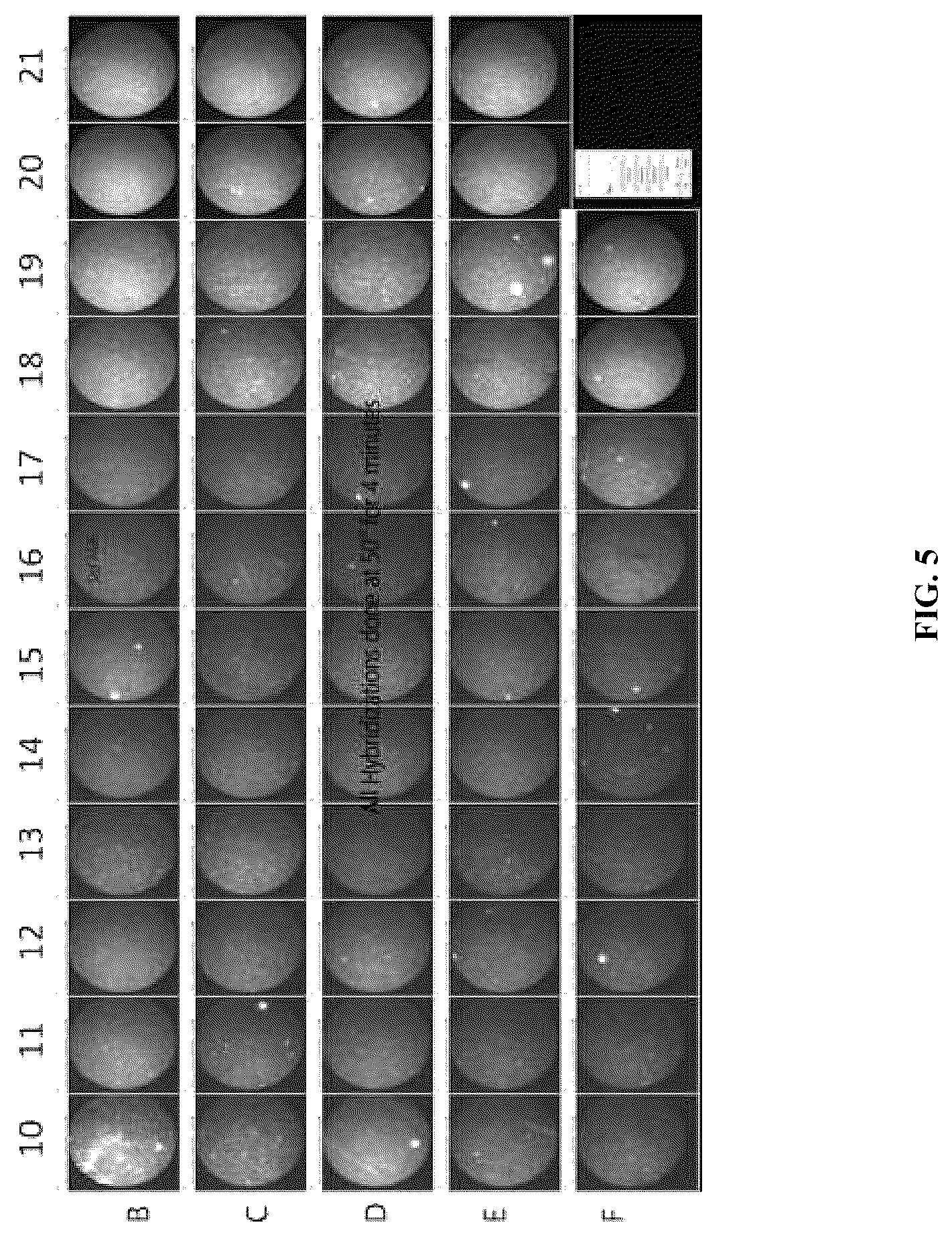 Patent US12313627 Figure 6 – Multivalent binding composition for nucleic acid analysis