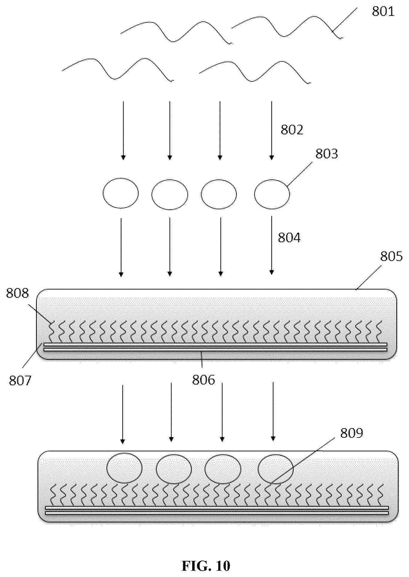 Patent US12313627 Figure 11 – Multivalent binding composition for nucleic acid analysis