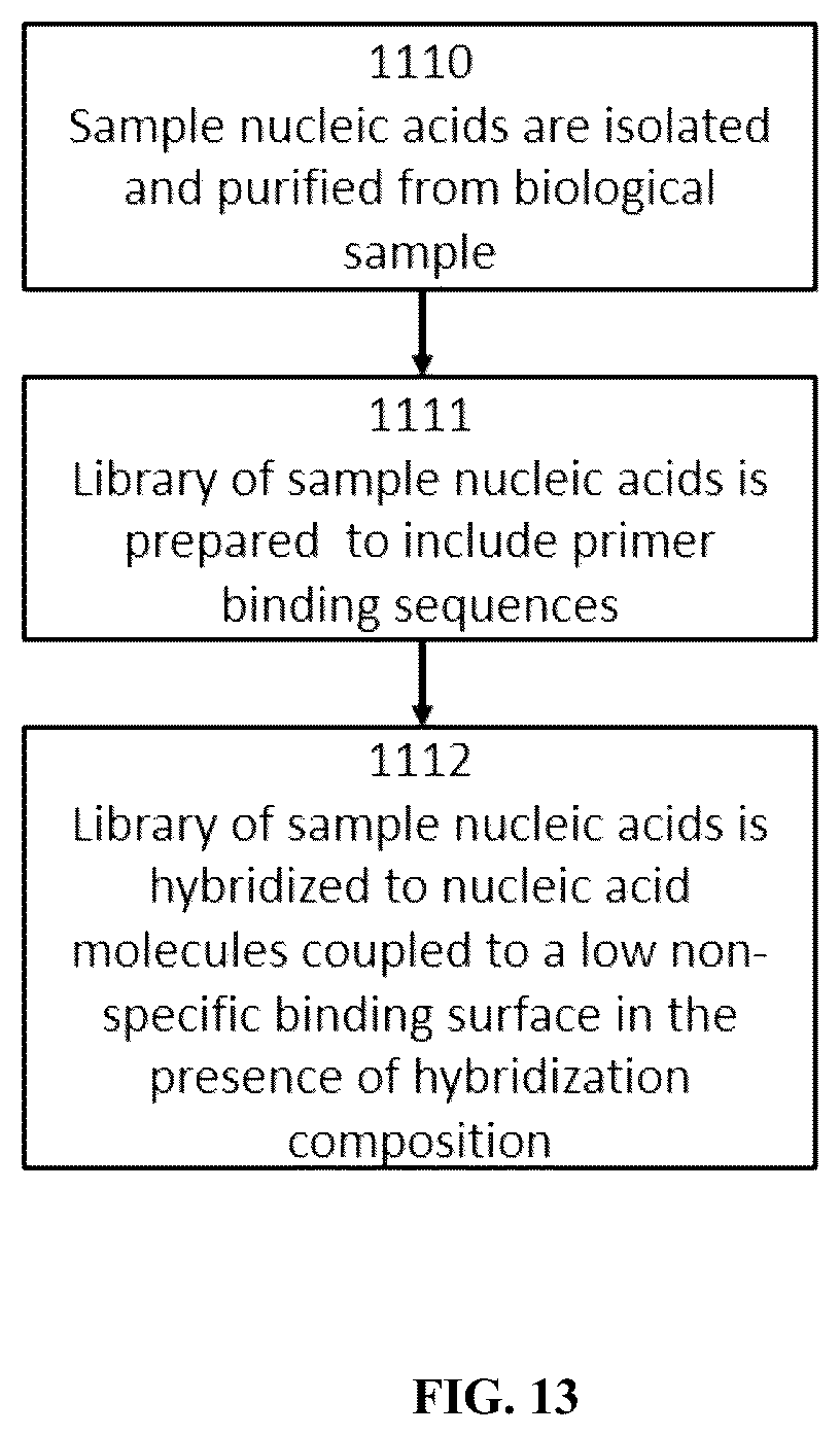 Patent US12313627 Figure 14 – Multivalent binding composition for nucleic acid analysis