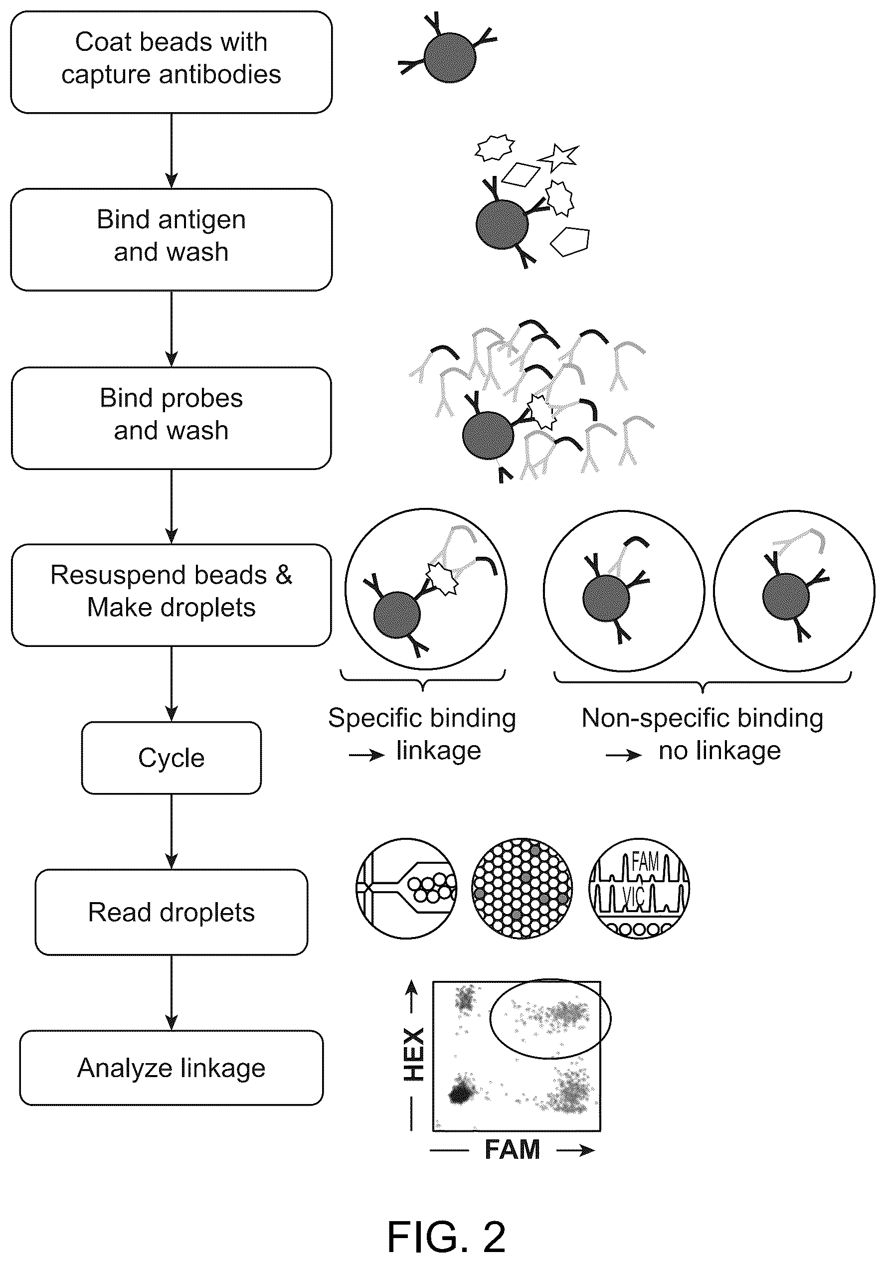 Patent US12313628 Figure 2 – Digital affinity linkage assay